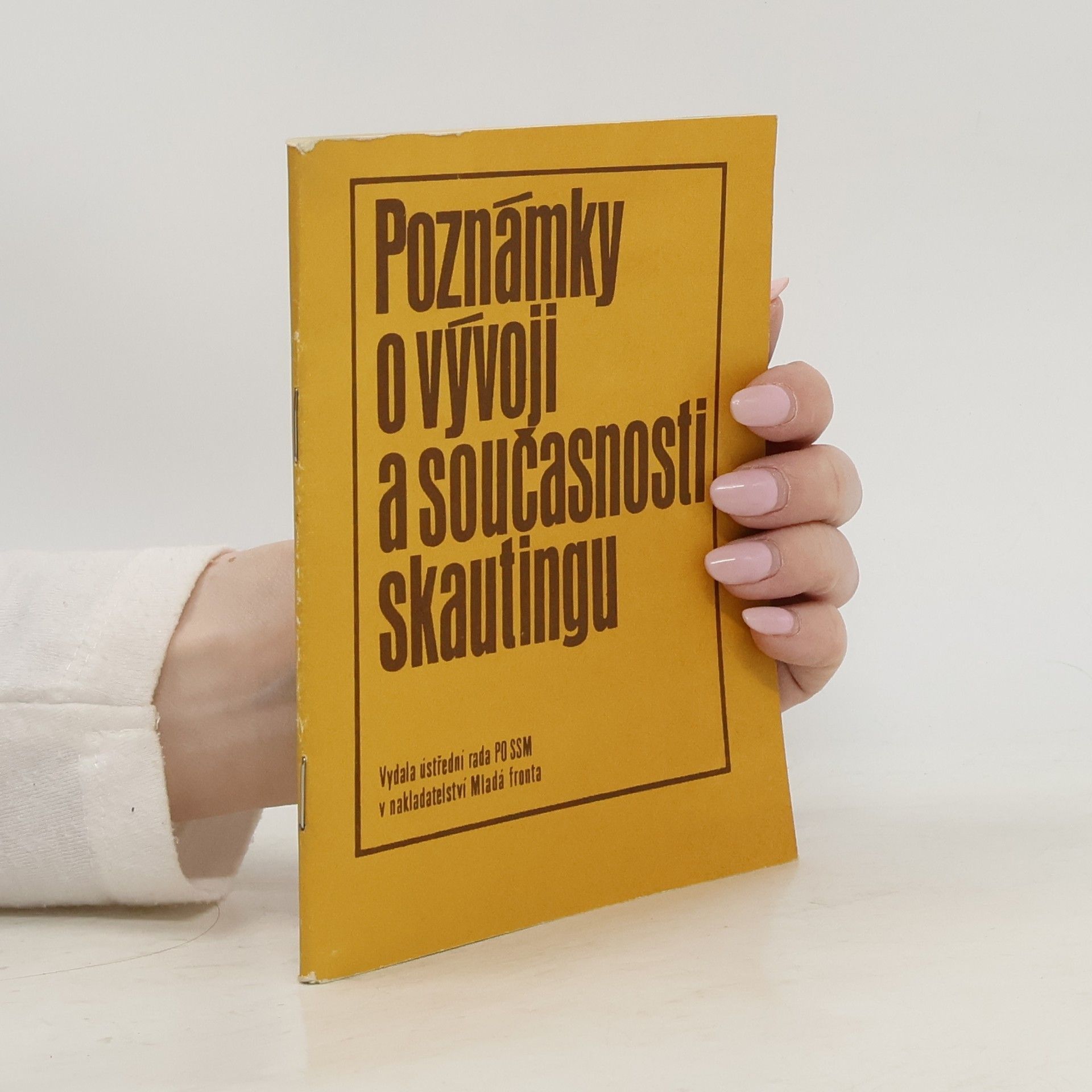 Jan Kohout Poznámky o vývoji a současnosti skautingu