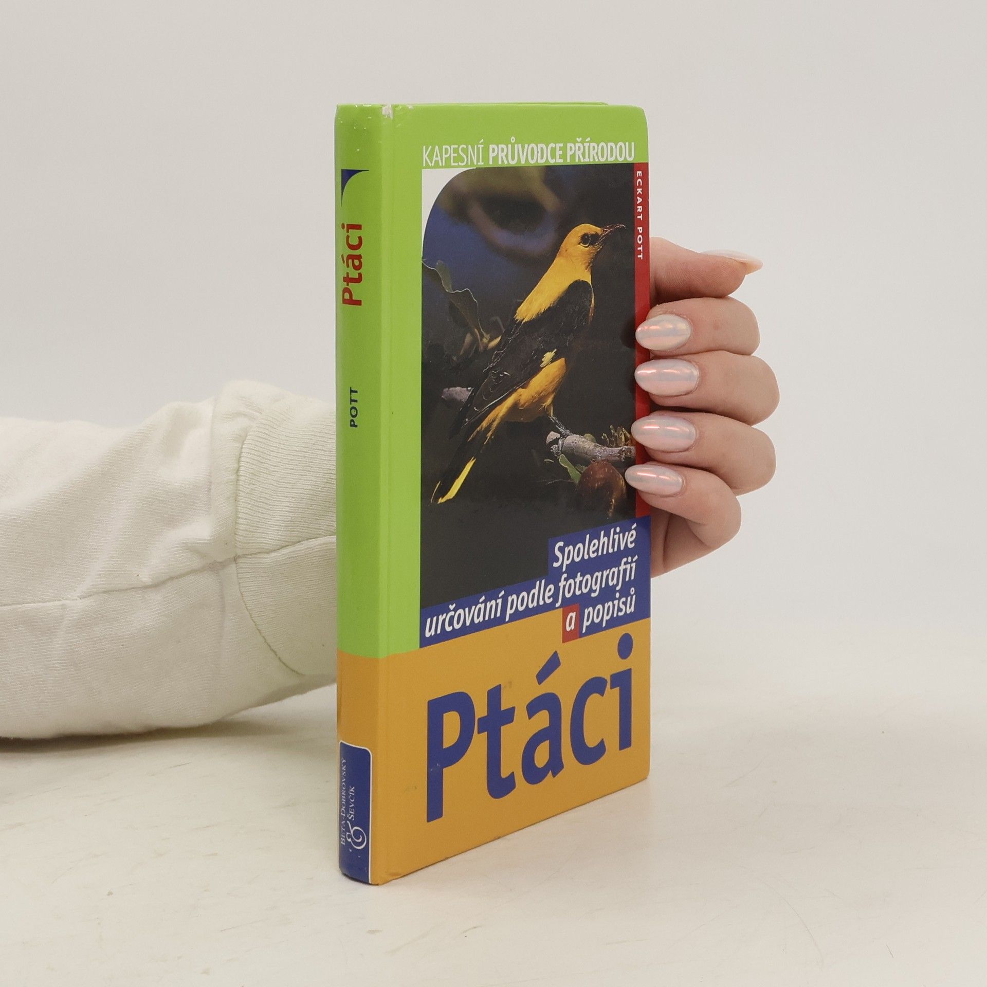 Eckart Pott Ptáci: Spolehlivé určování podle fotografií a popisů