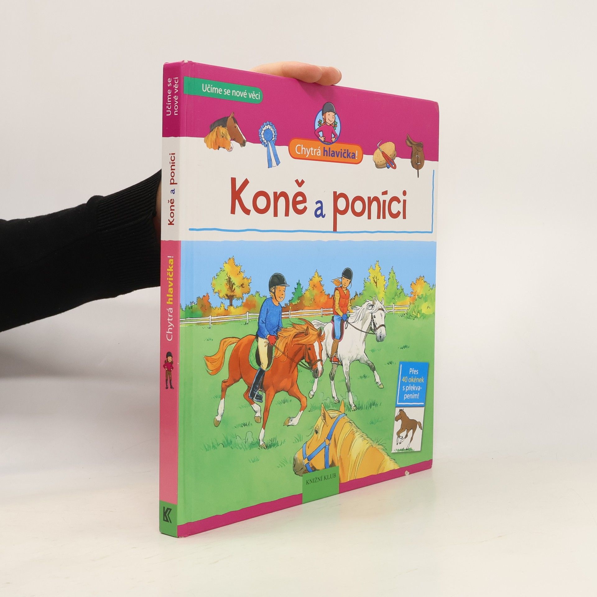 Koně a poníci