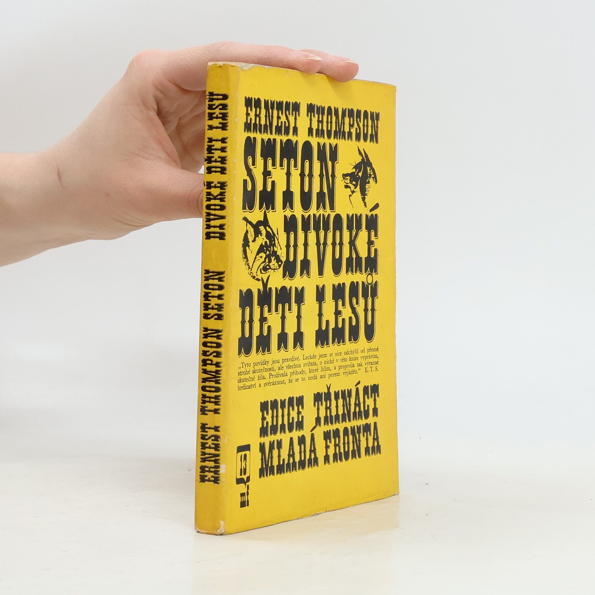 Ernest Thompson Seton Divoké děti lesů