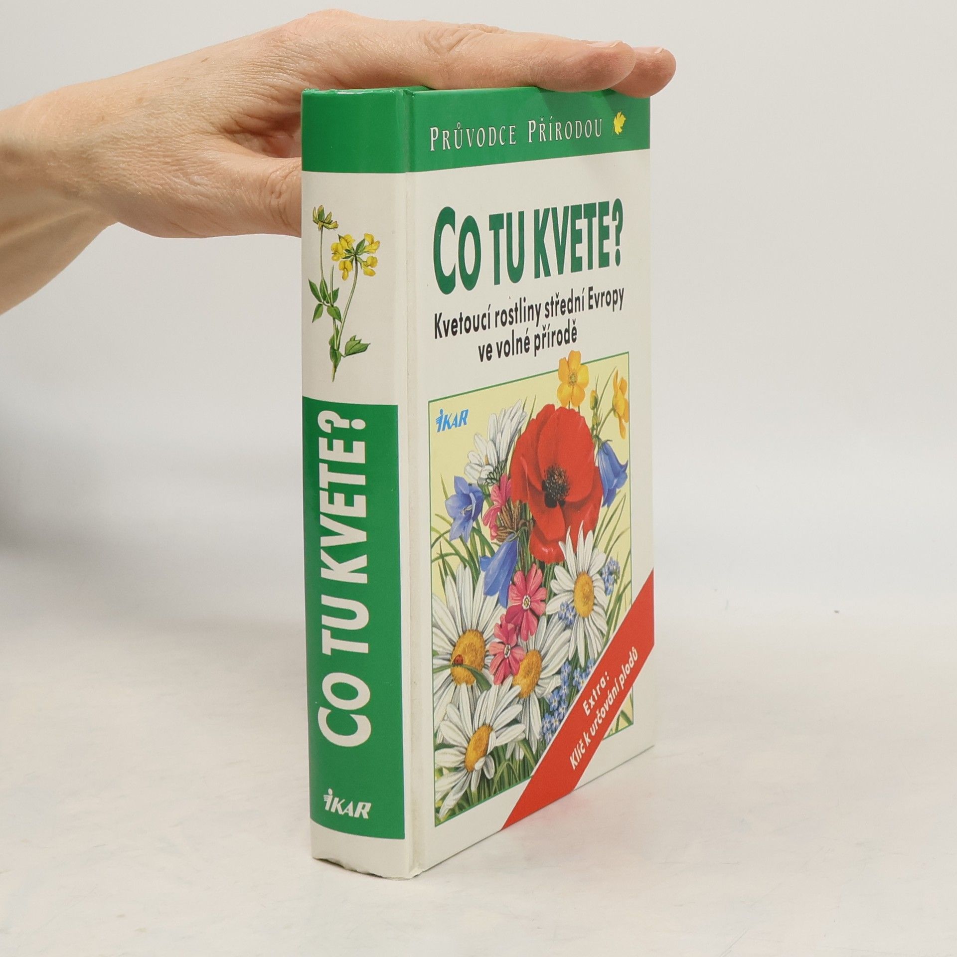 Dietmar Aichele Co tu kvete?