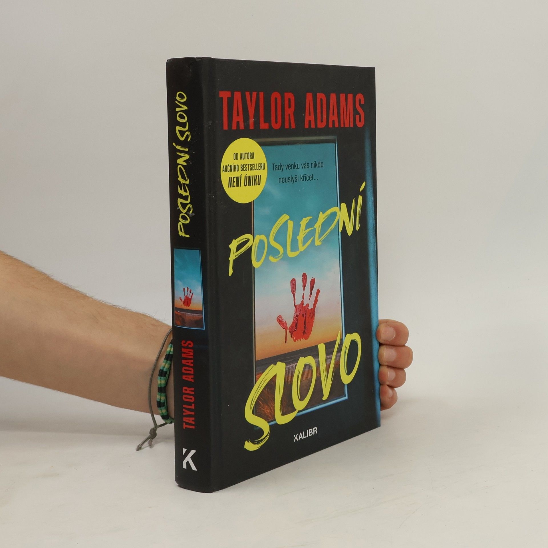 Irena Steinerová Poslední slovo