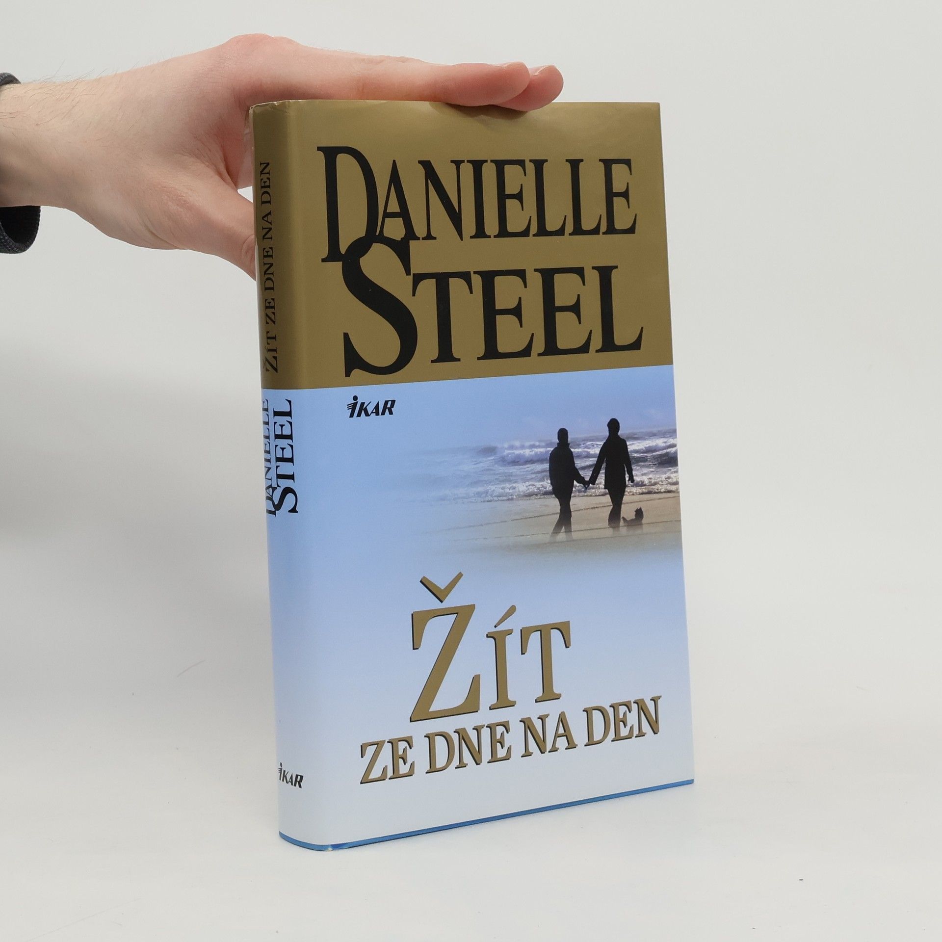 Danielle Steel Žít ze dne na den