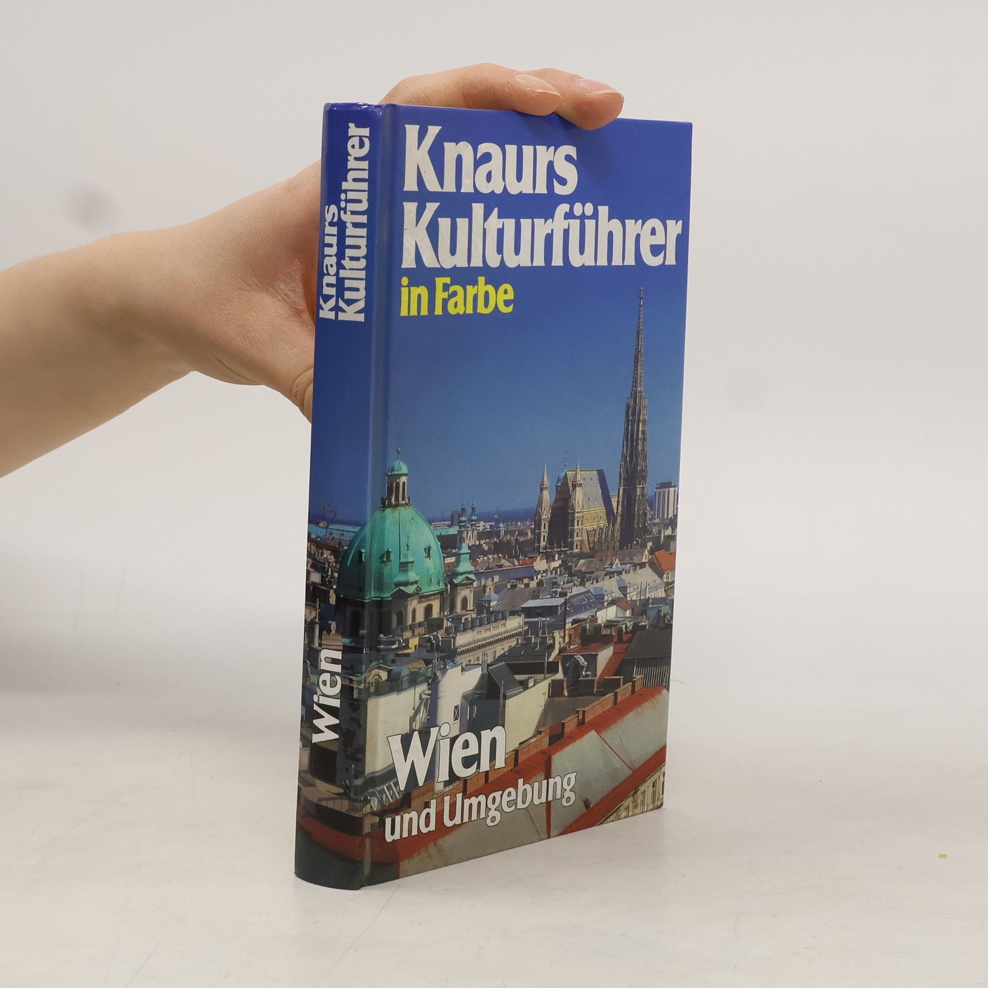 AA.VV. Knaurs Kulturführer in Farbe. Wien und Umgebung