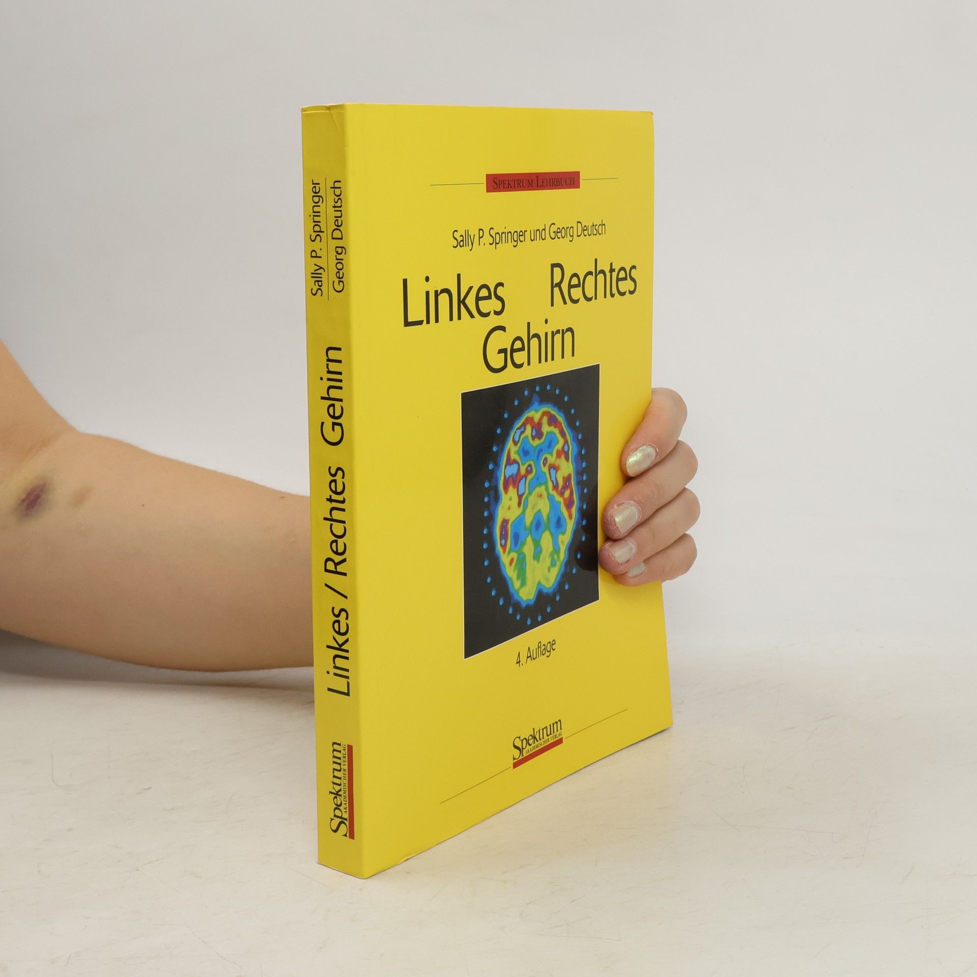 Sally P. Springer Linkes Rechtes Gehirn