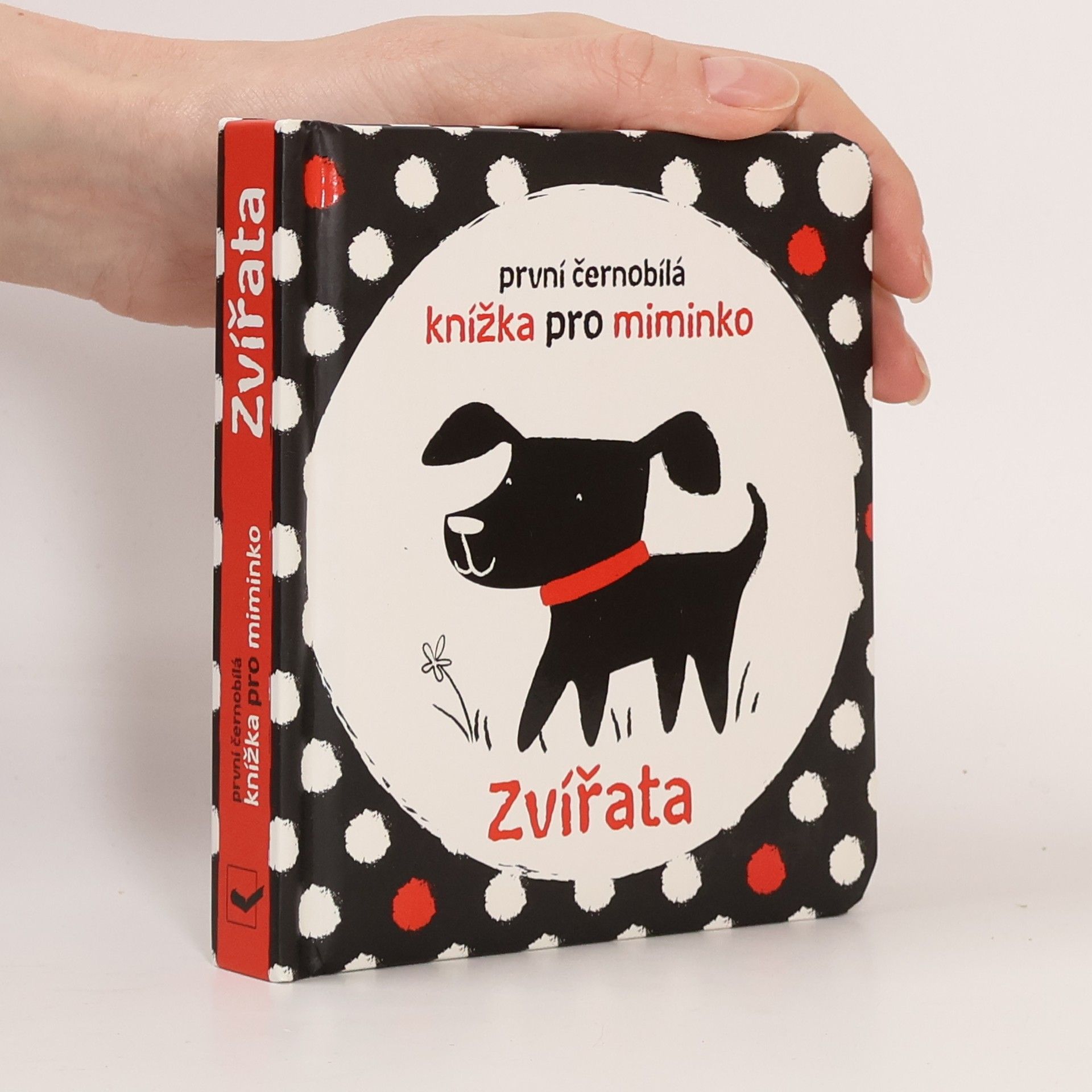 Stella Baggott Zvířata