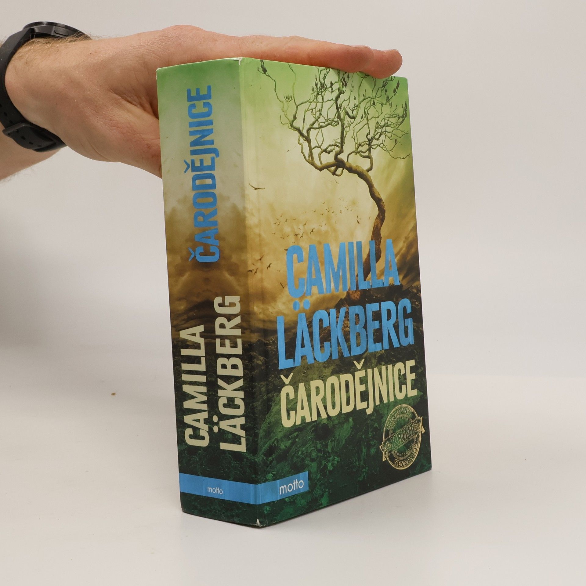 Camilla Läckberg Čarodějnice