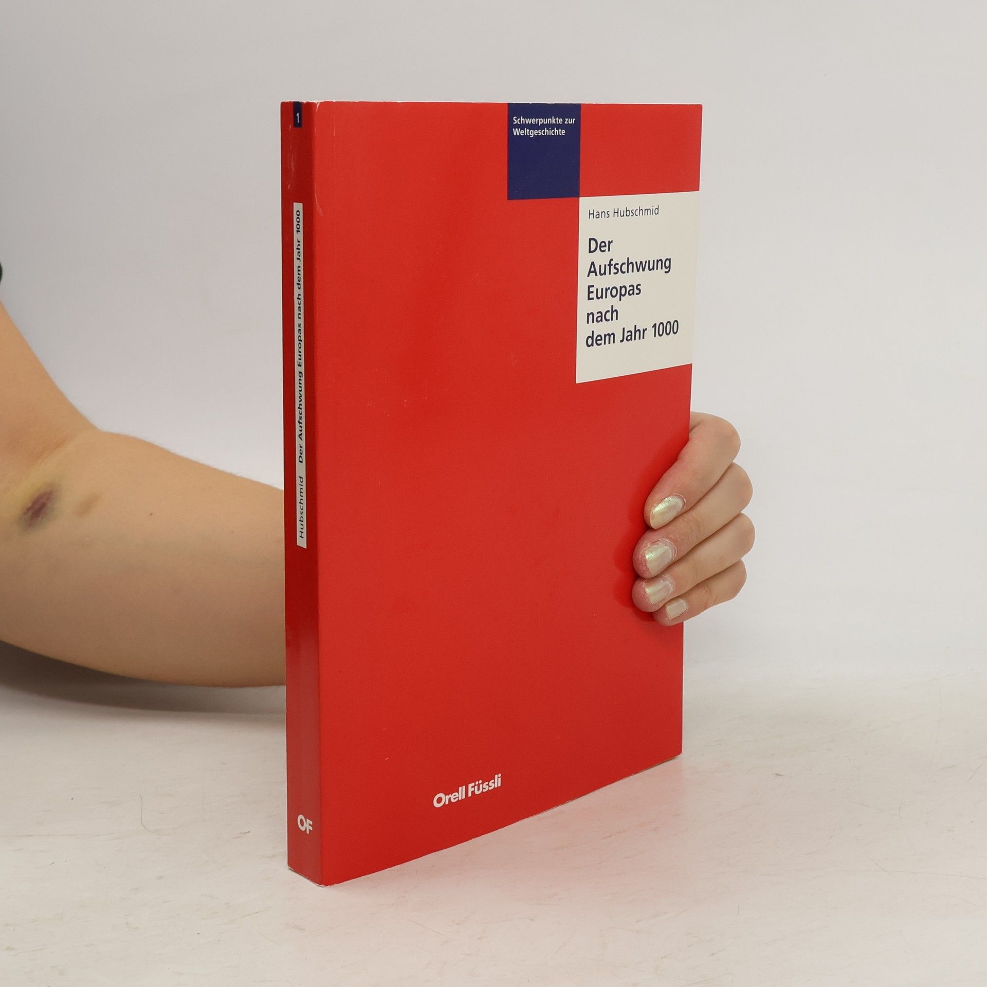 Hans Hubschmid Der Aufschwung Europas nach dem Jahr 1000