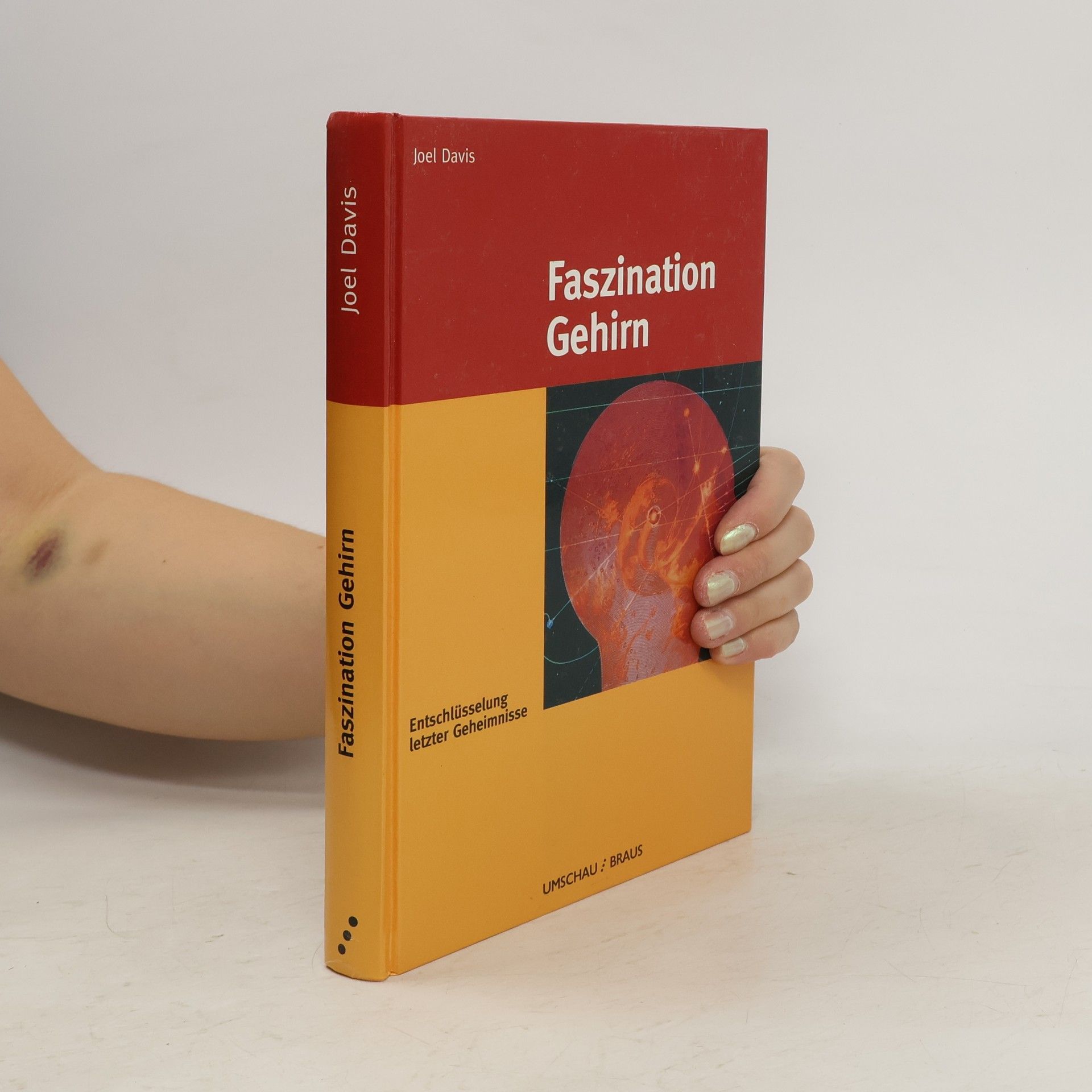 Faszination Gehirn