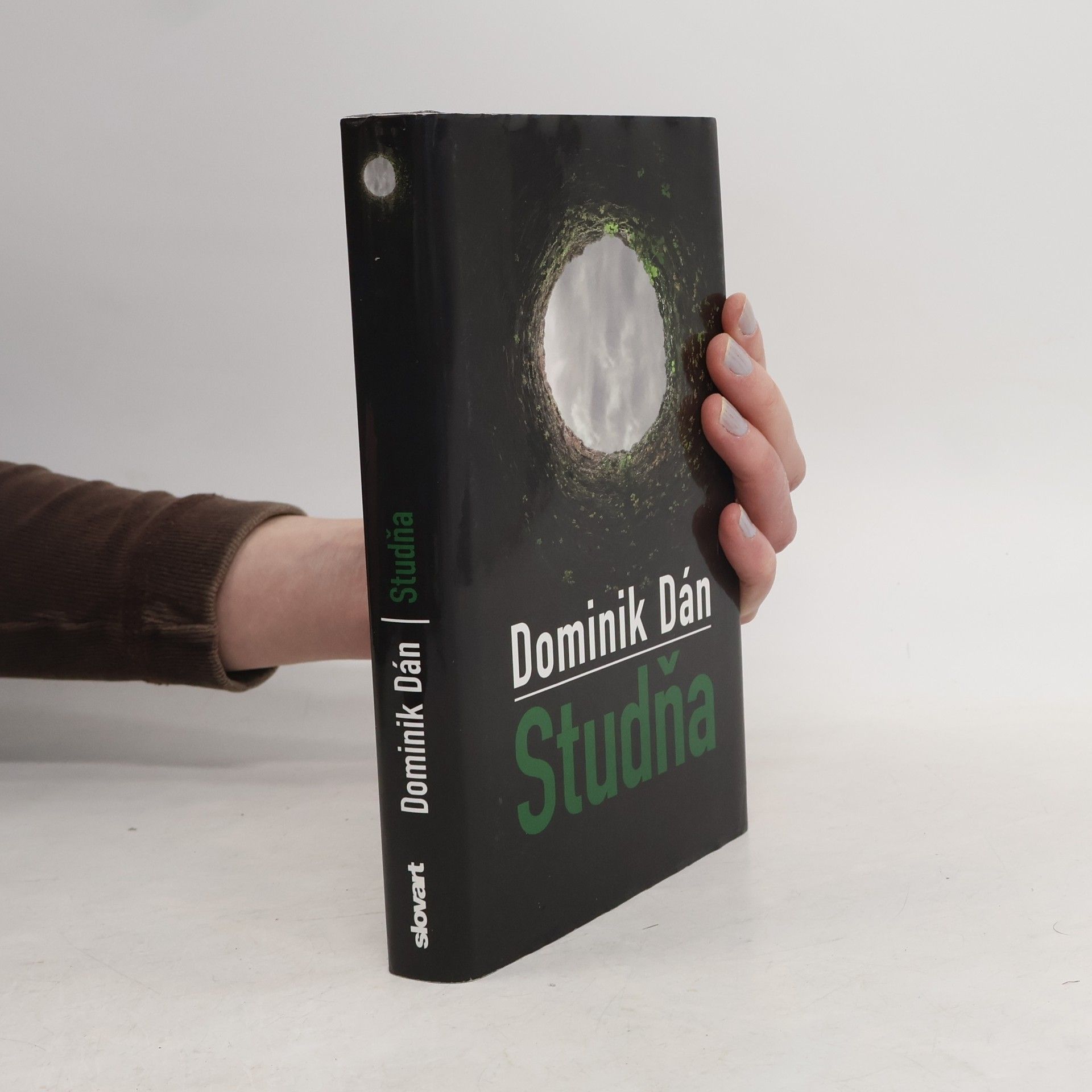 Dominik Dán Studňa