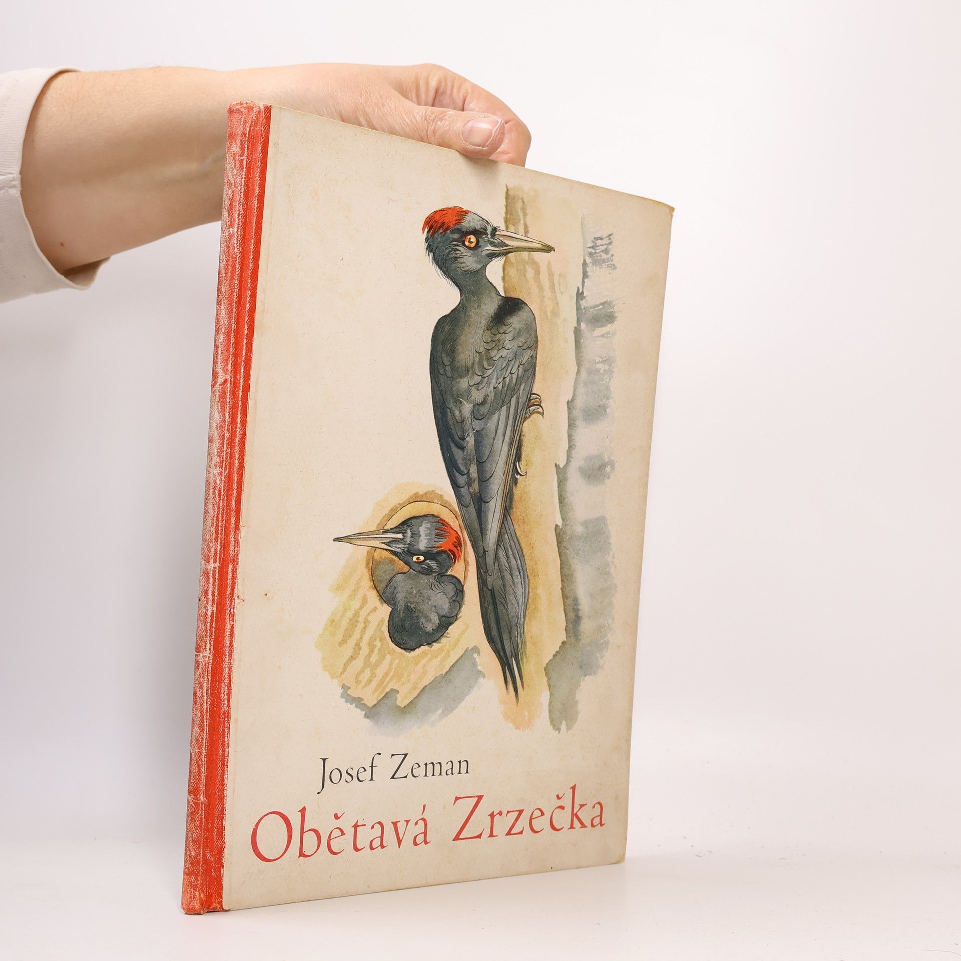 Josef Zeman Obětavá Zrzečka