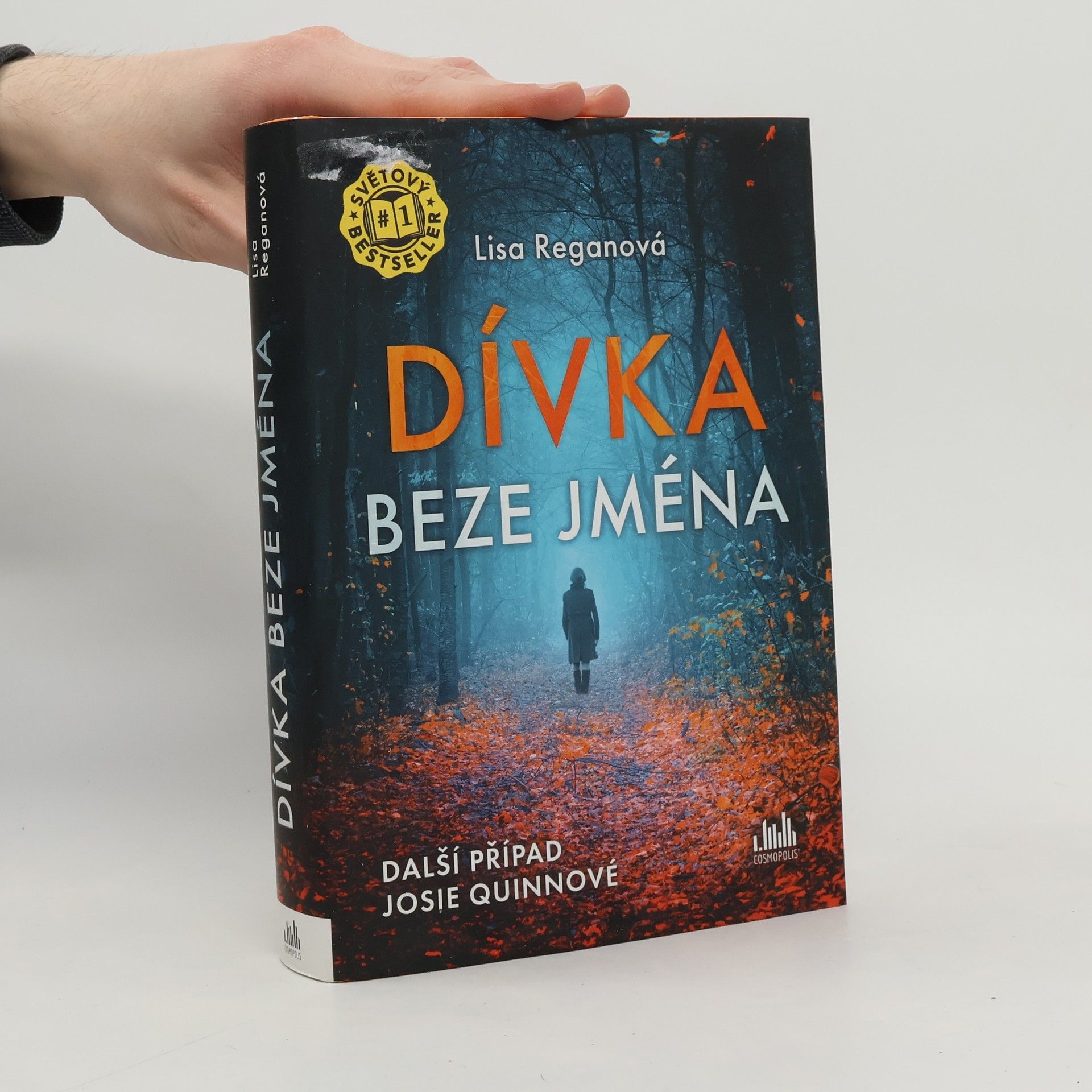 Lisa Regan Dívka beze jména: Další případ Josie Quinnové