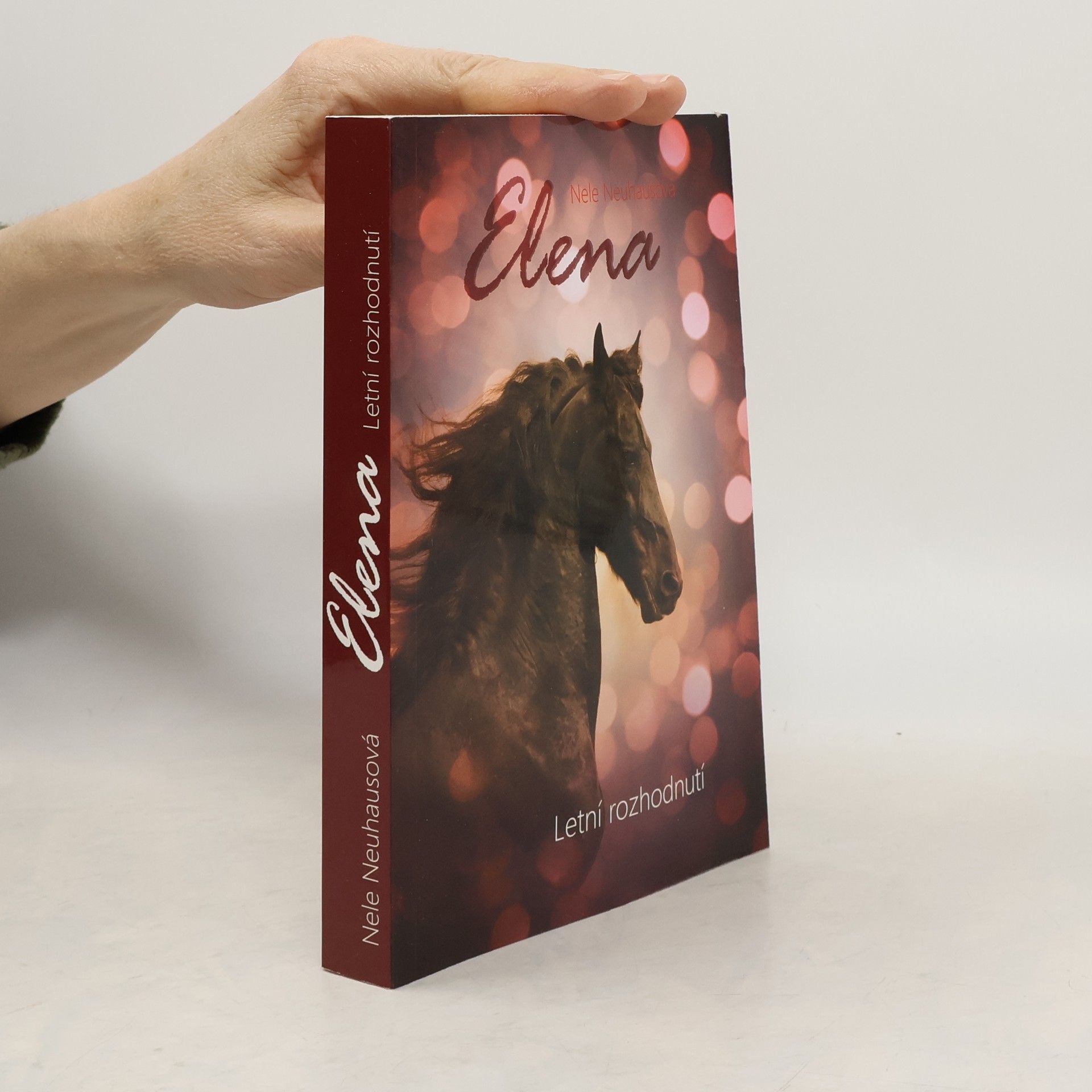 Nele Neuhaus Letní rozhodnutí