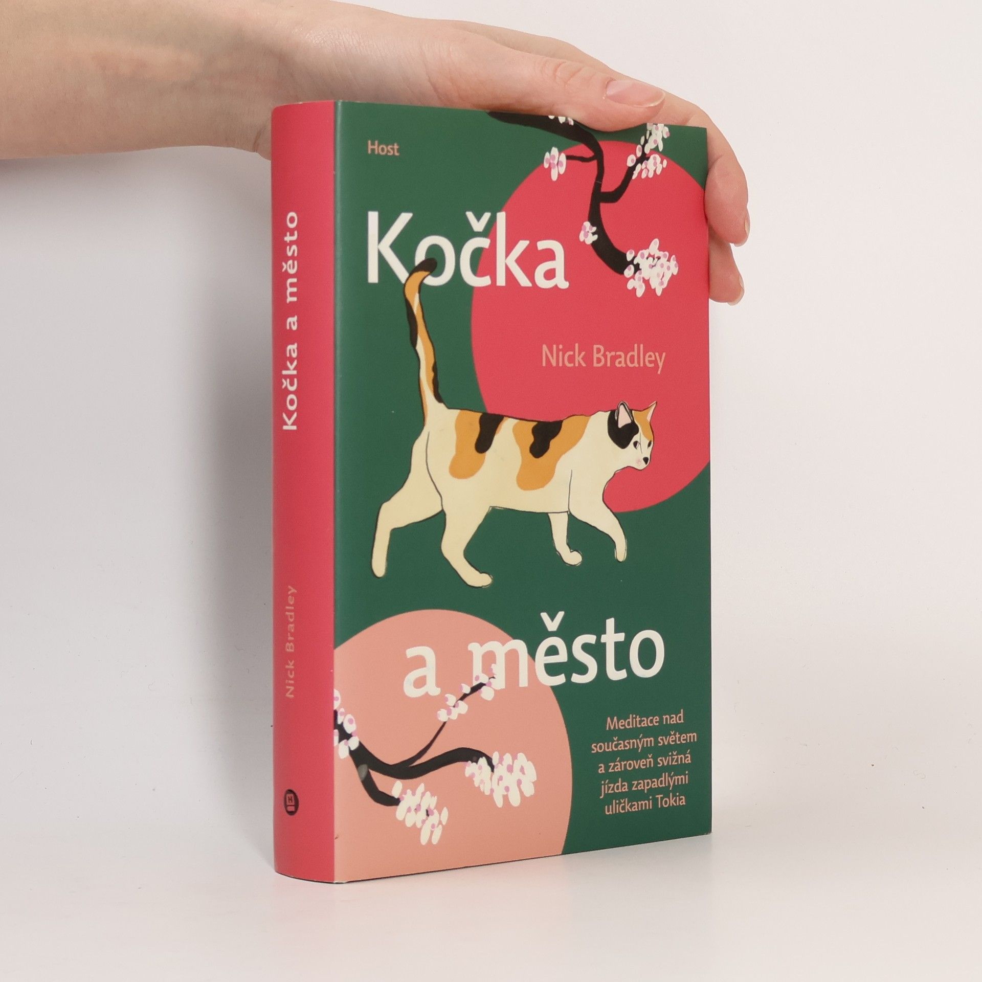 Nick Bradley Kočka a město