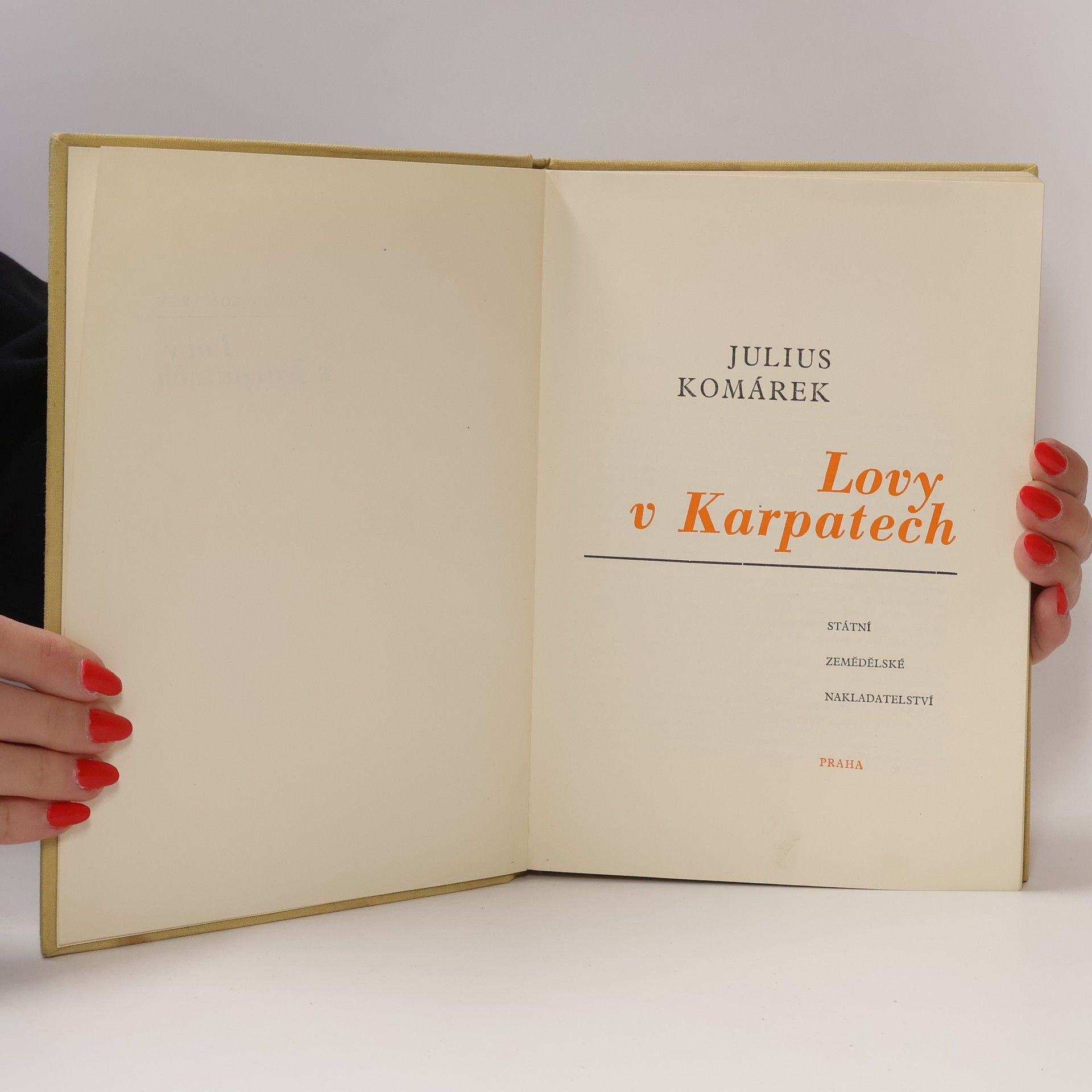 Julius Komárek Lovy v Karpatech