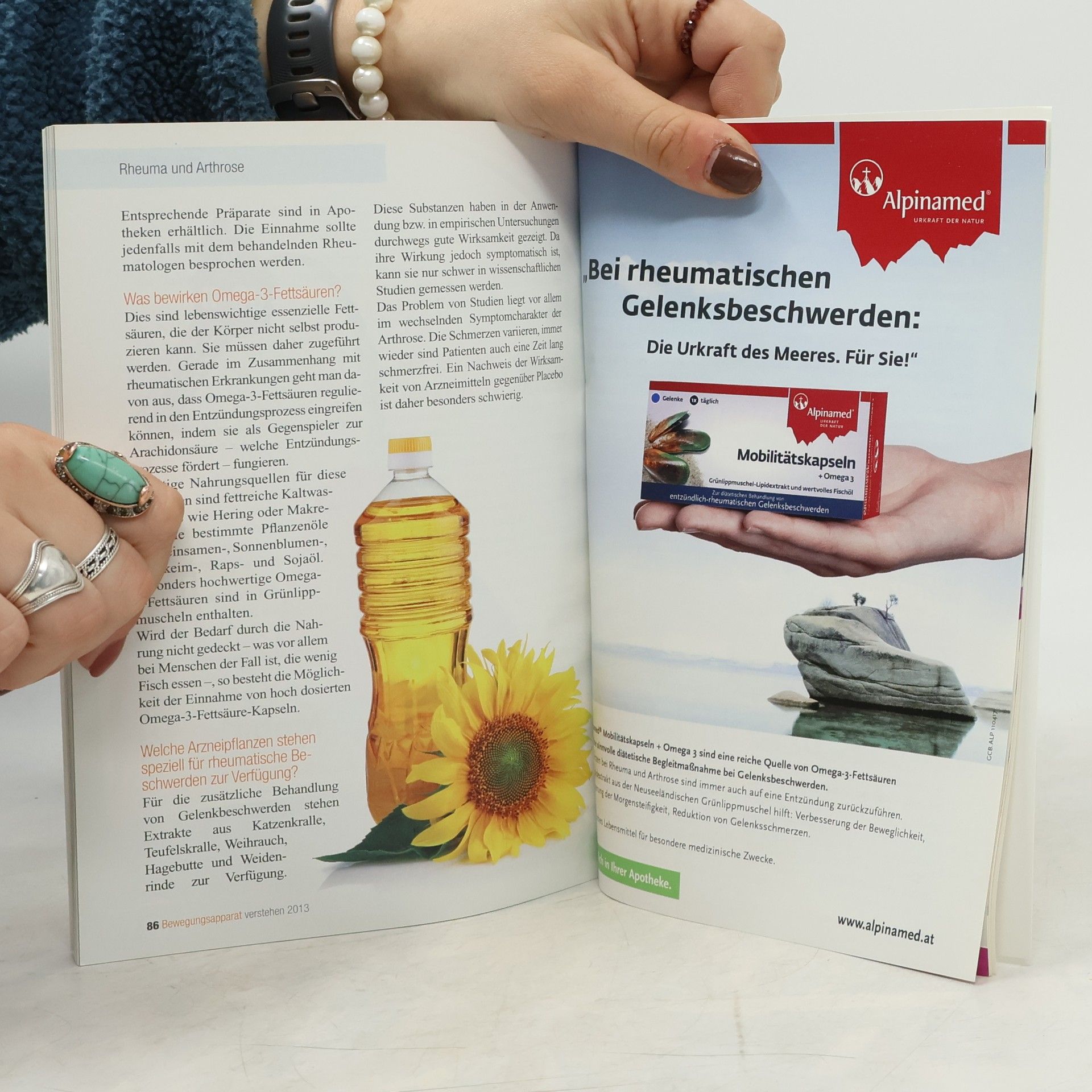 Autorenkollektiv Bewegungsapparat verstehen