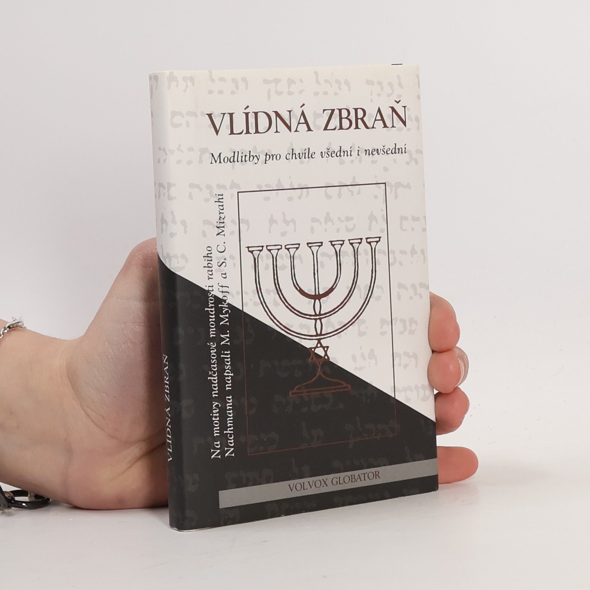 Moše Mykoff Vlídná zbraň