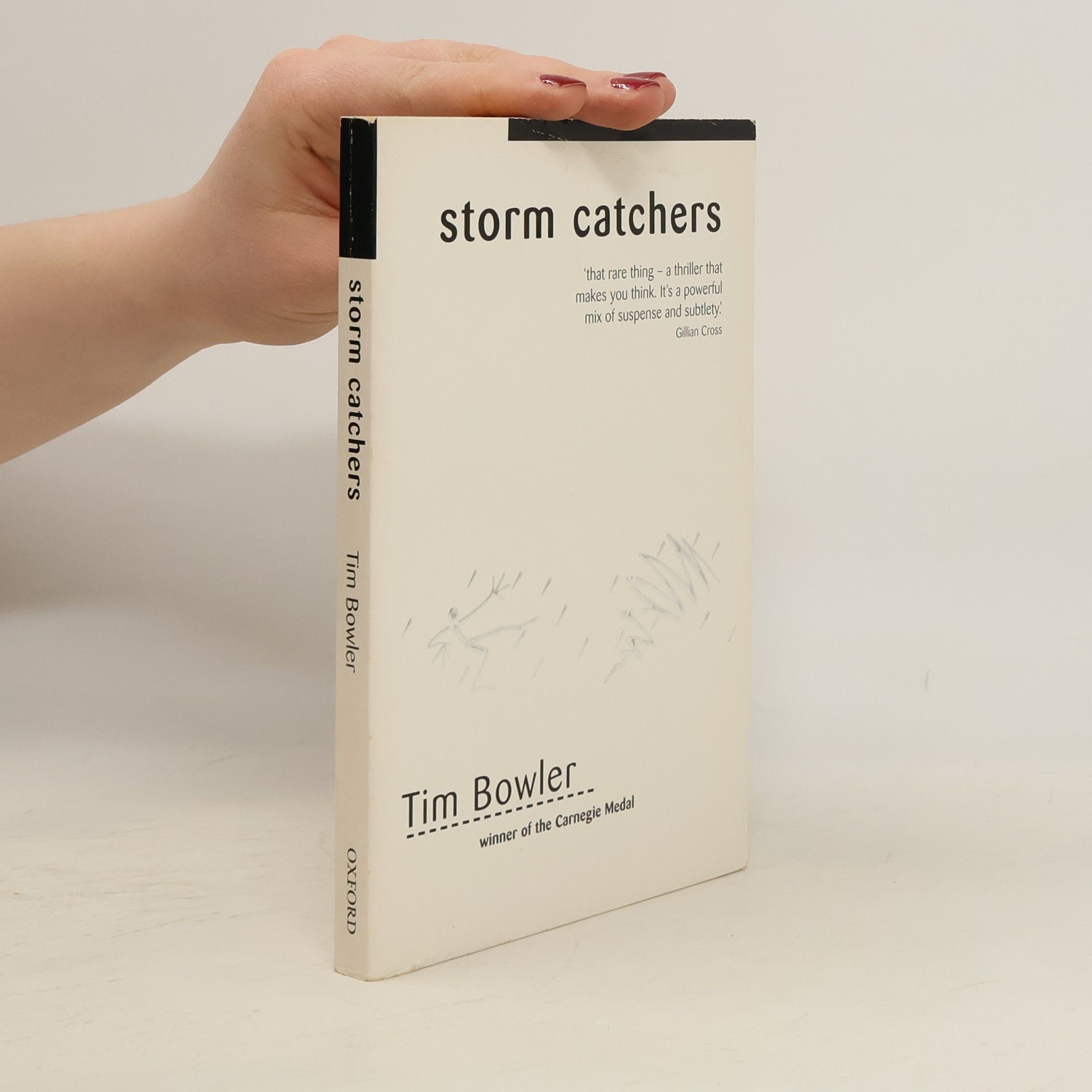 Tim Bowler Storm Catchers