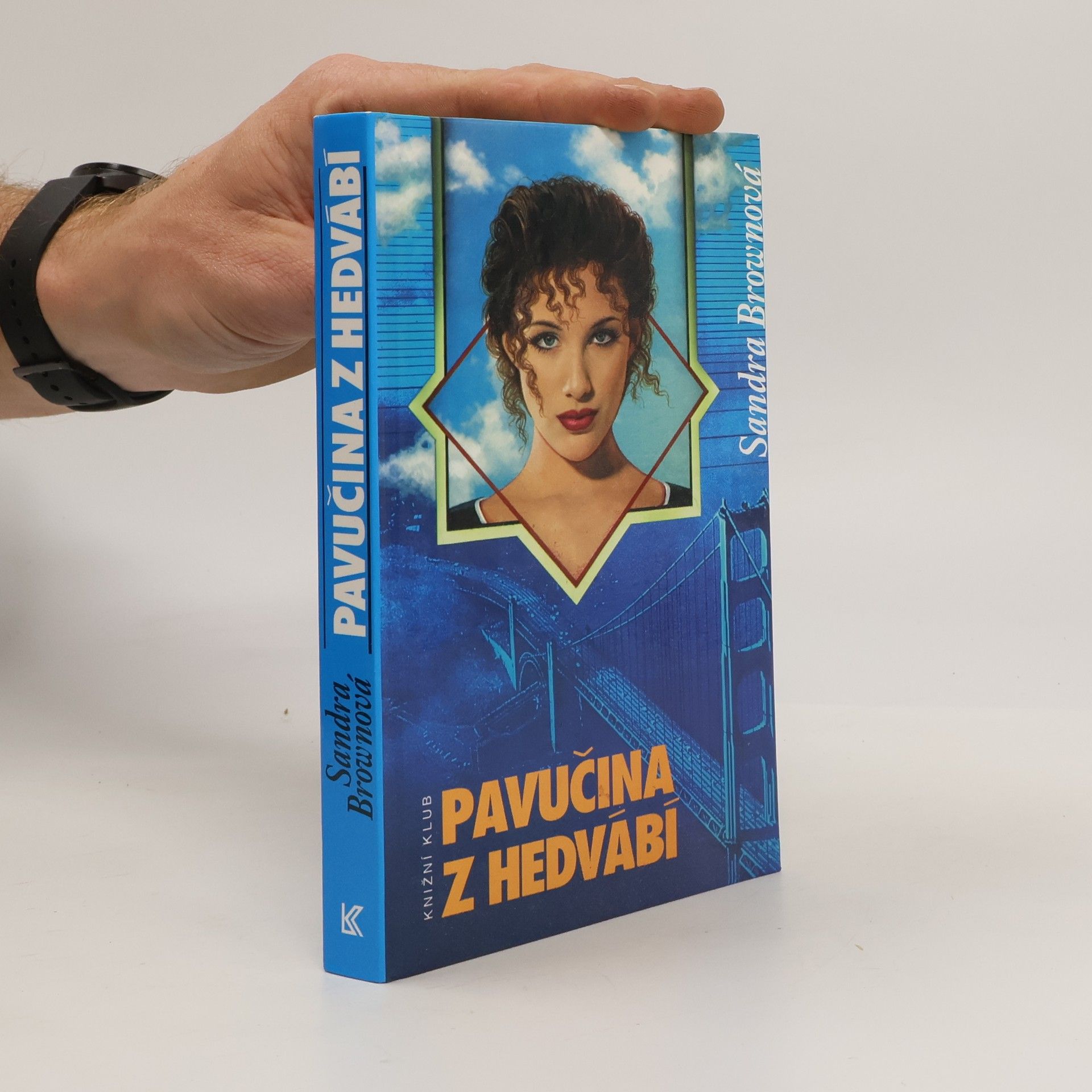 Sandra Brown Pavučina z hedvábí