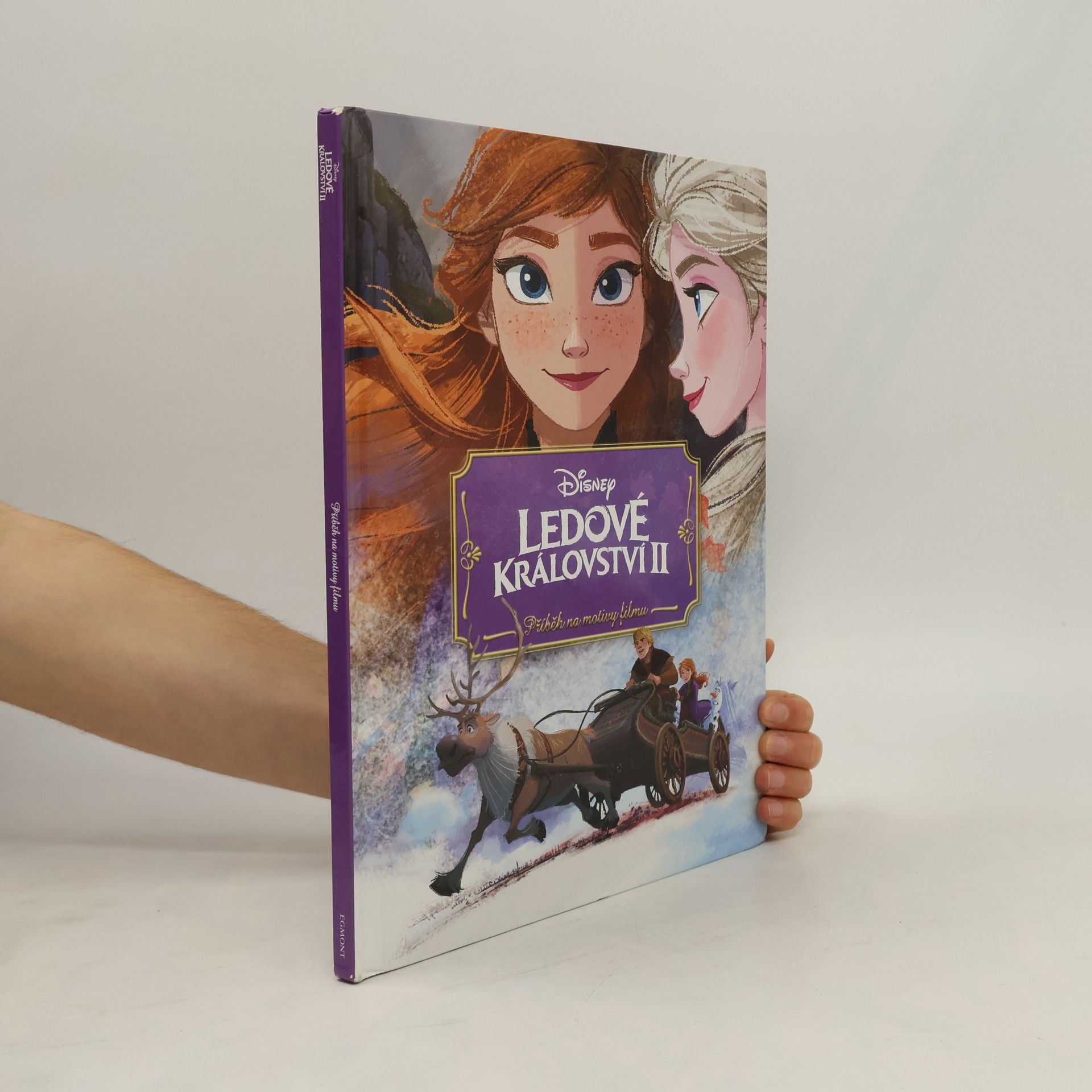 Petra Vichrová Ledové království II