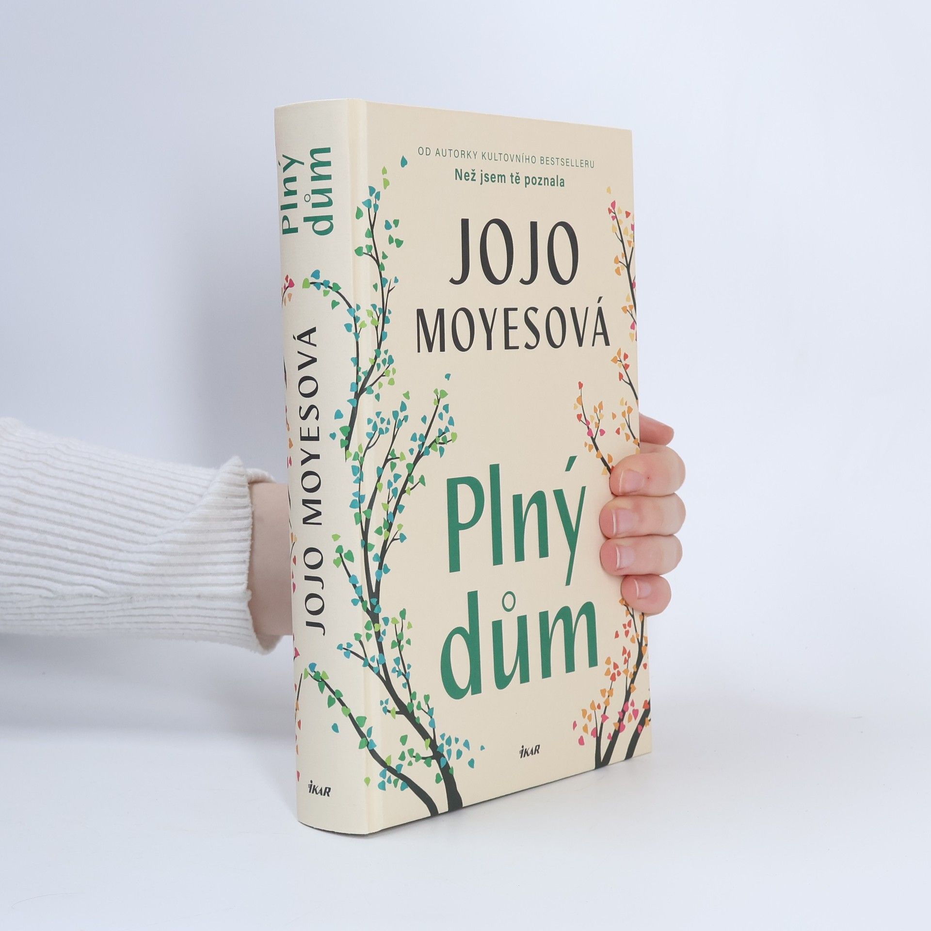 Jojo Moyes Plný dům