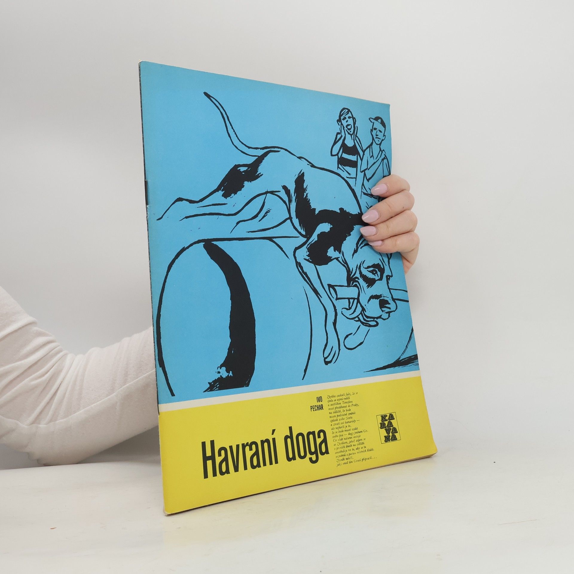 Ivo Pechar Havraní doga