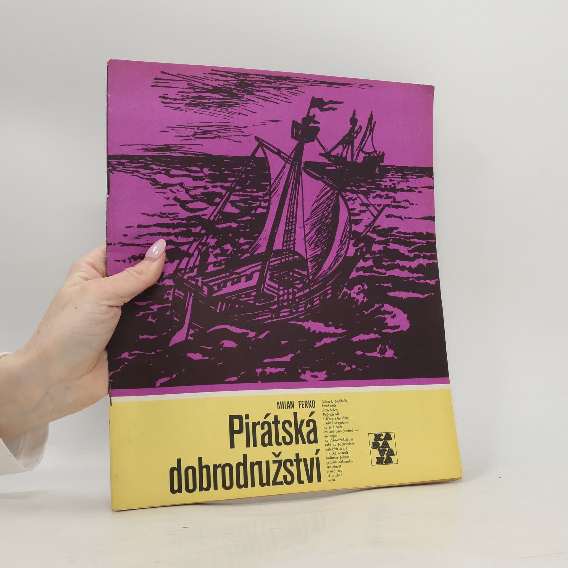 Milan Ferko Pirátská dobrodružství