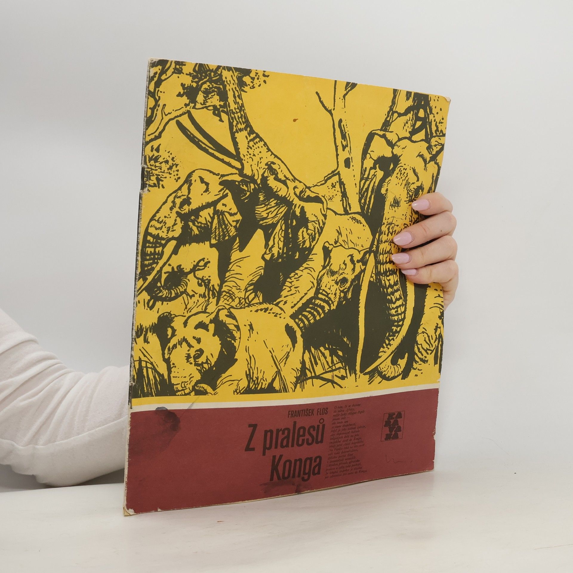 František Flos Karavana č. 156, Z pralesů Konga