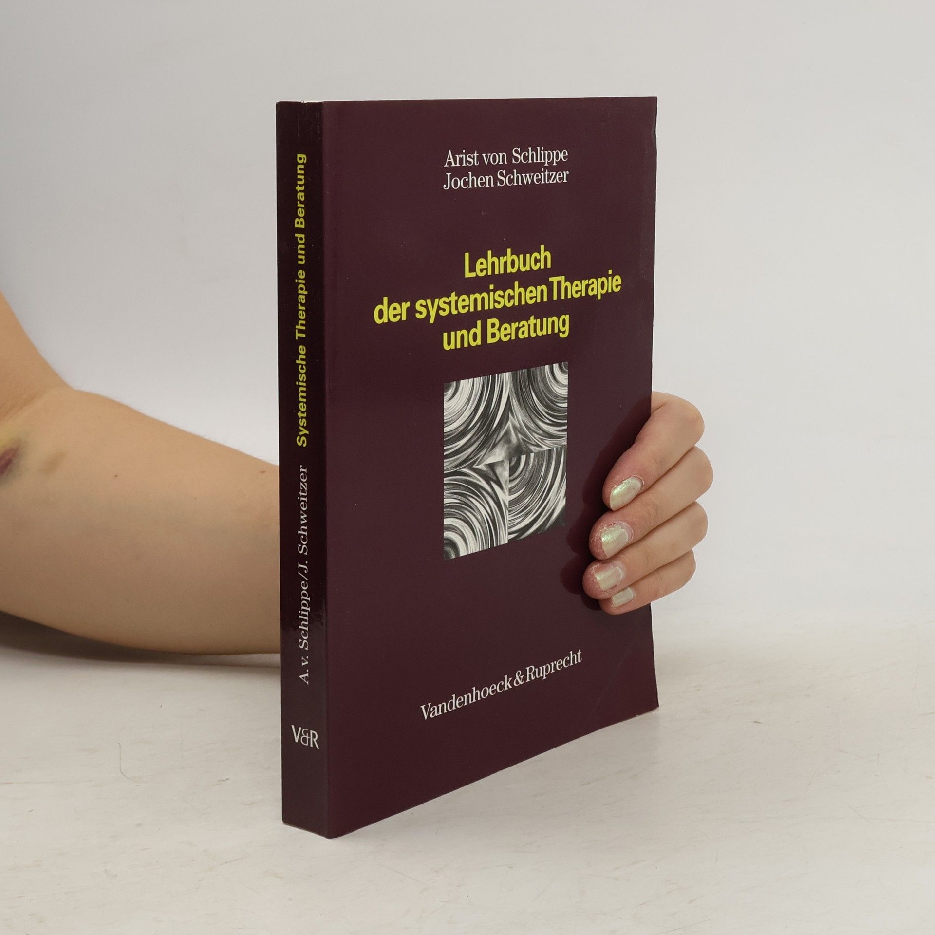 Arist von Schlippe Lehrbuch der systemischen Therapie und Beratung