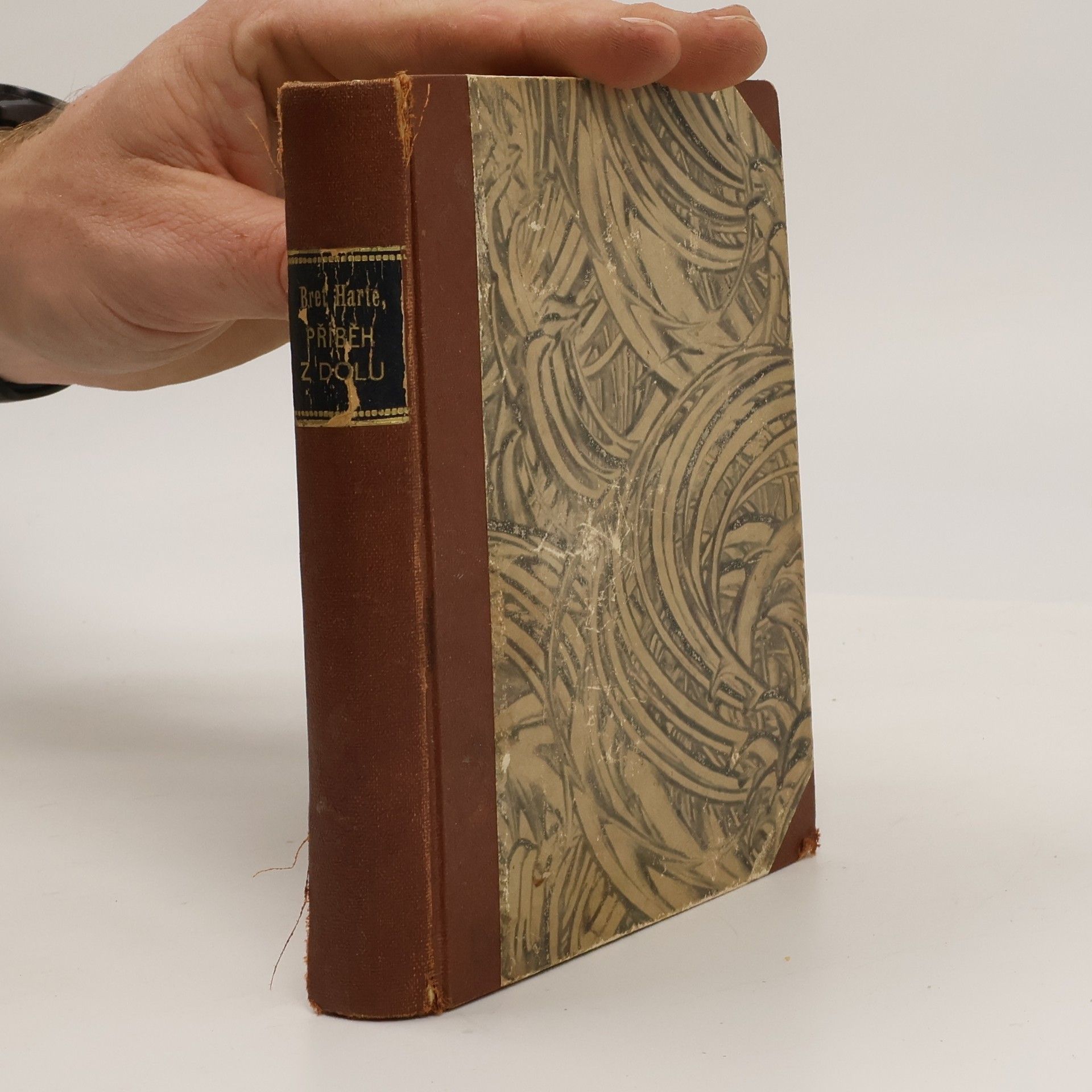 Francis Bret Harte Příběh z dolu