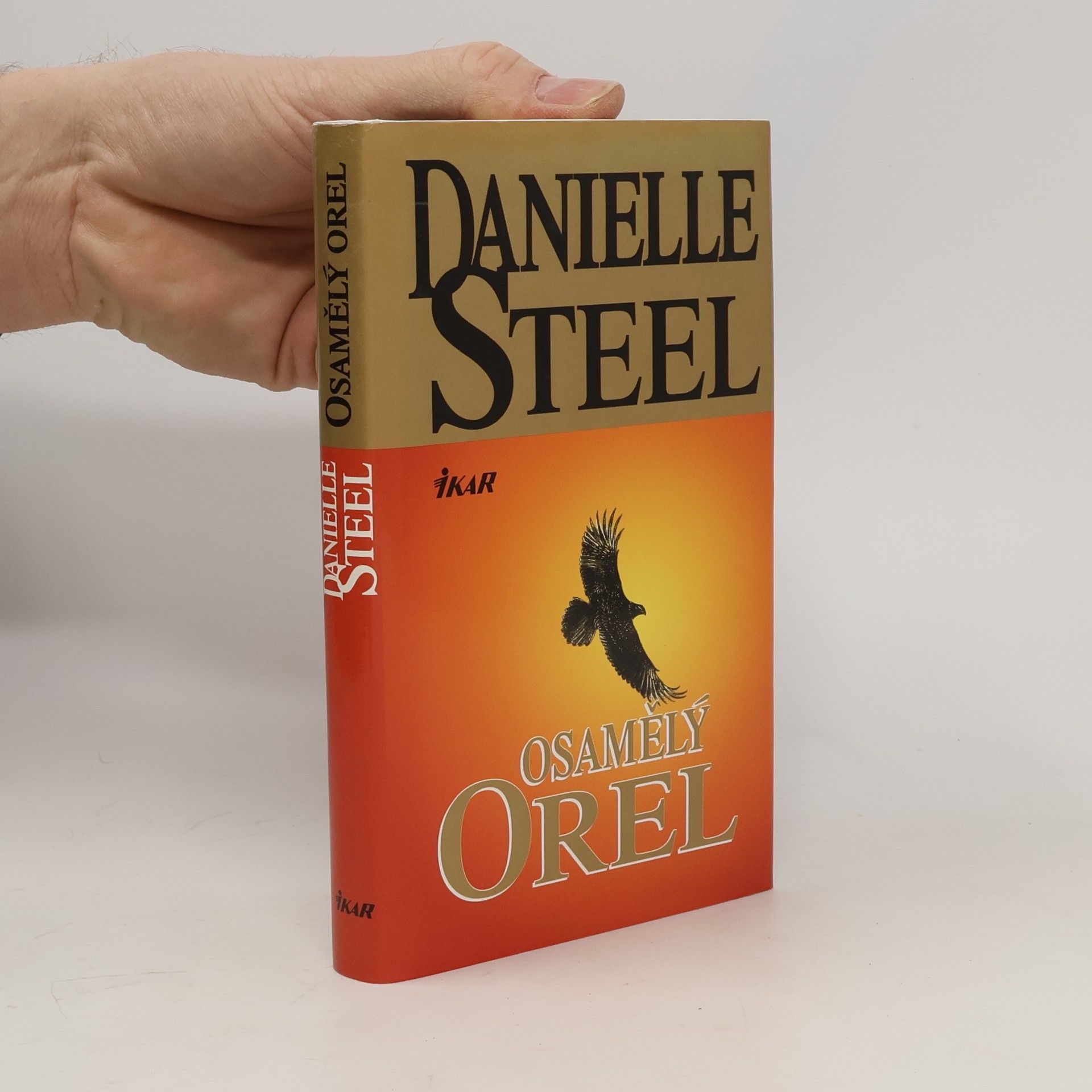 Danielle Steel Osamělý orel