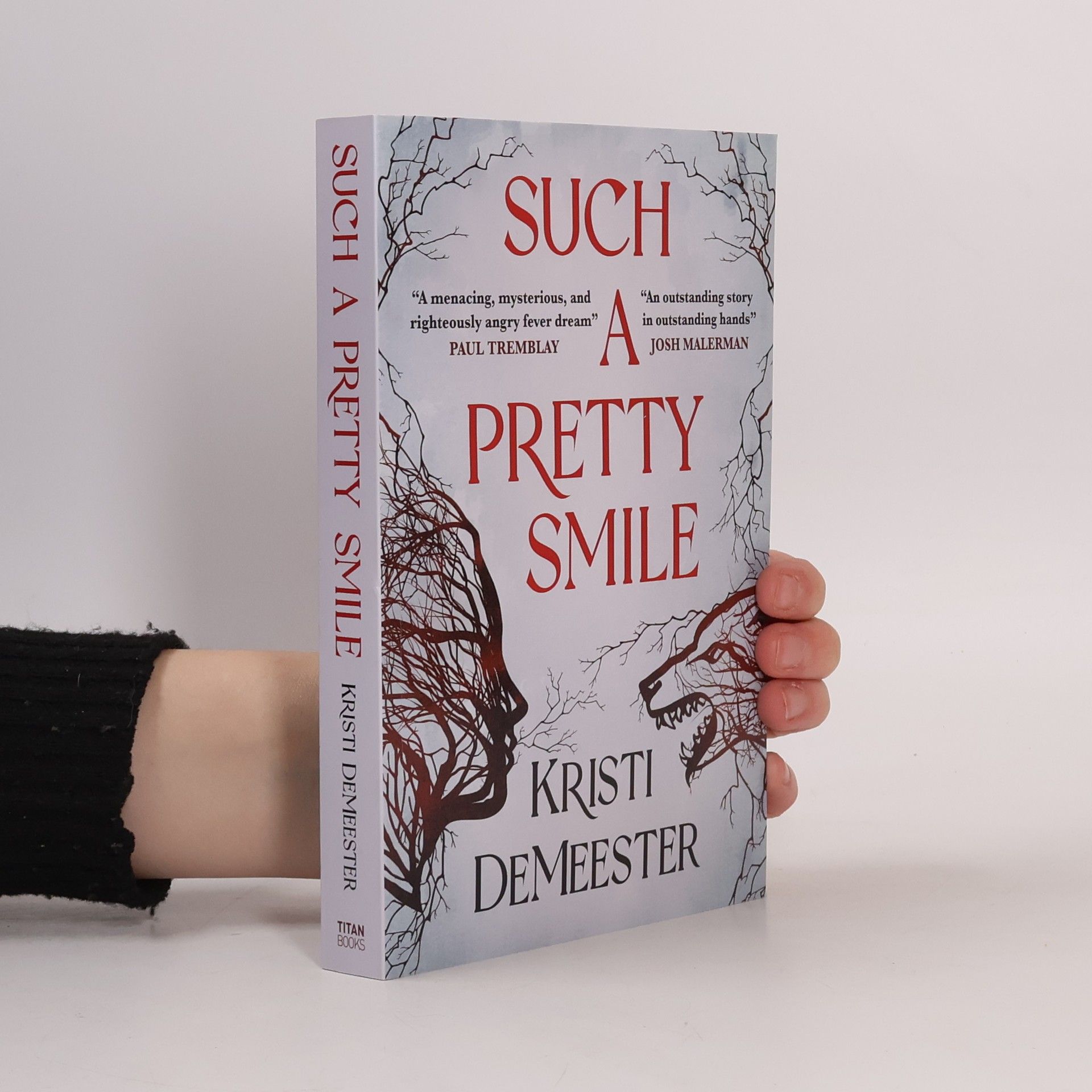 Kristi DeMeester Such a Pretty Smile