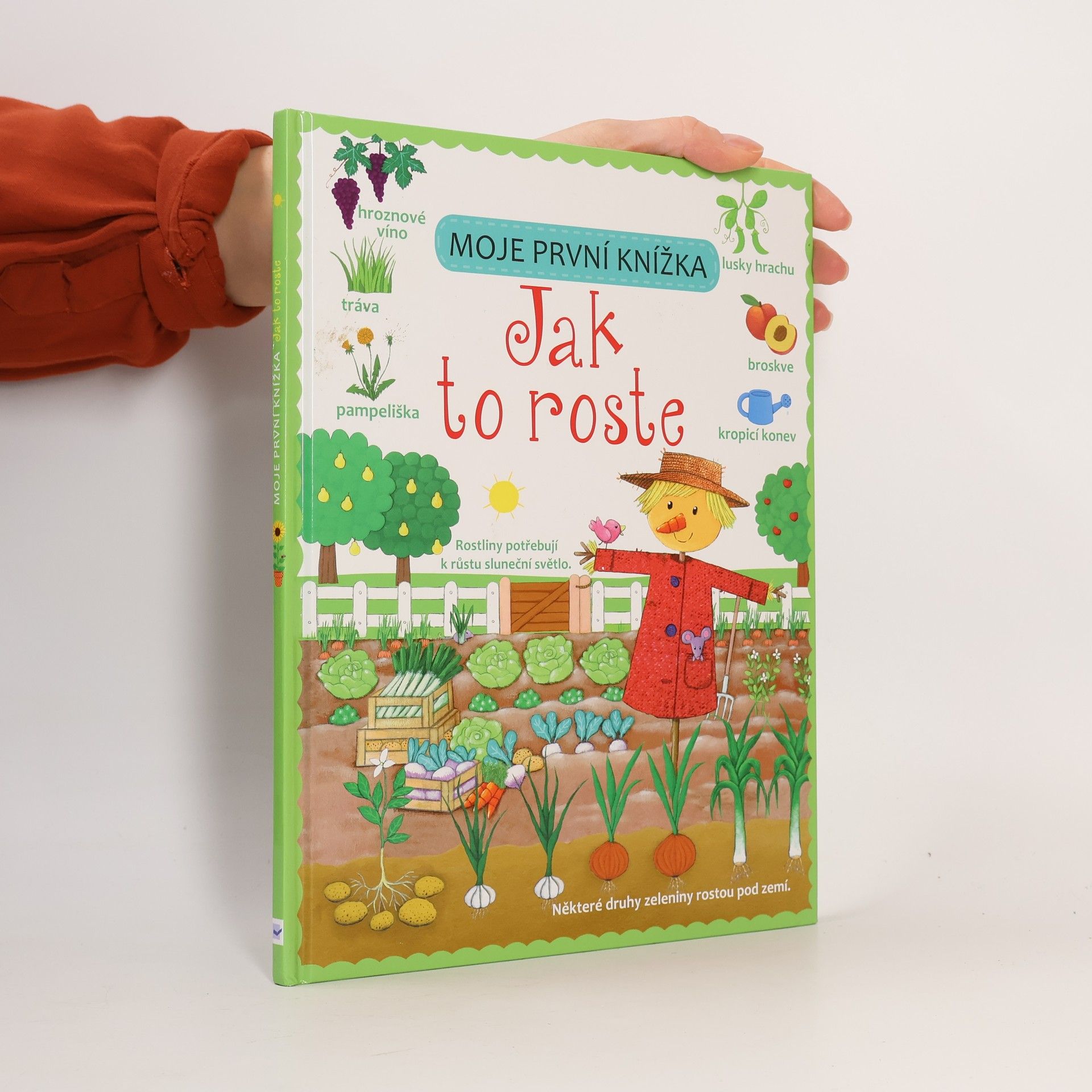 Felicity Brooks Moje první knížka. Jak to roste