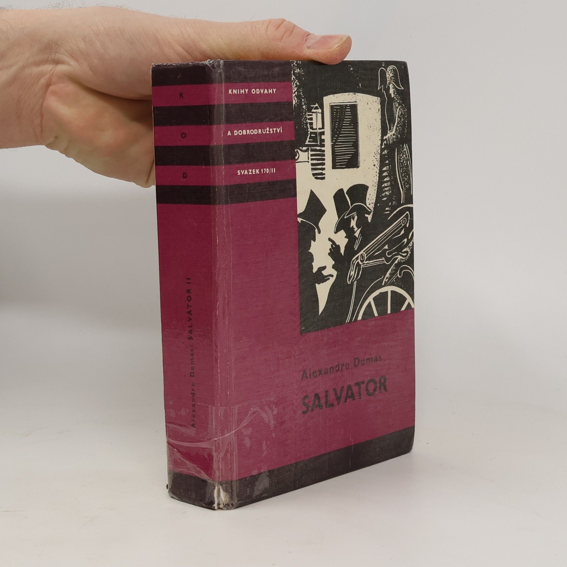 Alexandre Dumas starší Salvator II.