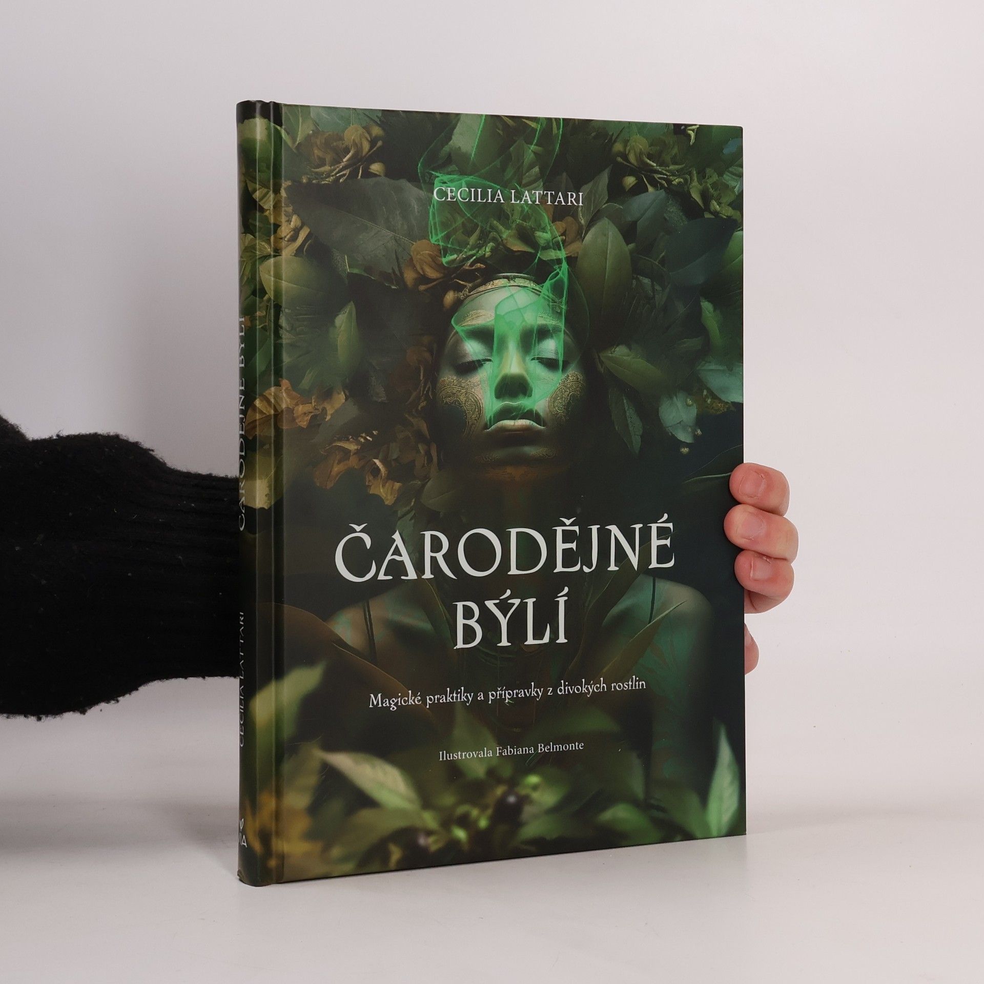 Cecilia Lattari Čarodějné býlí