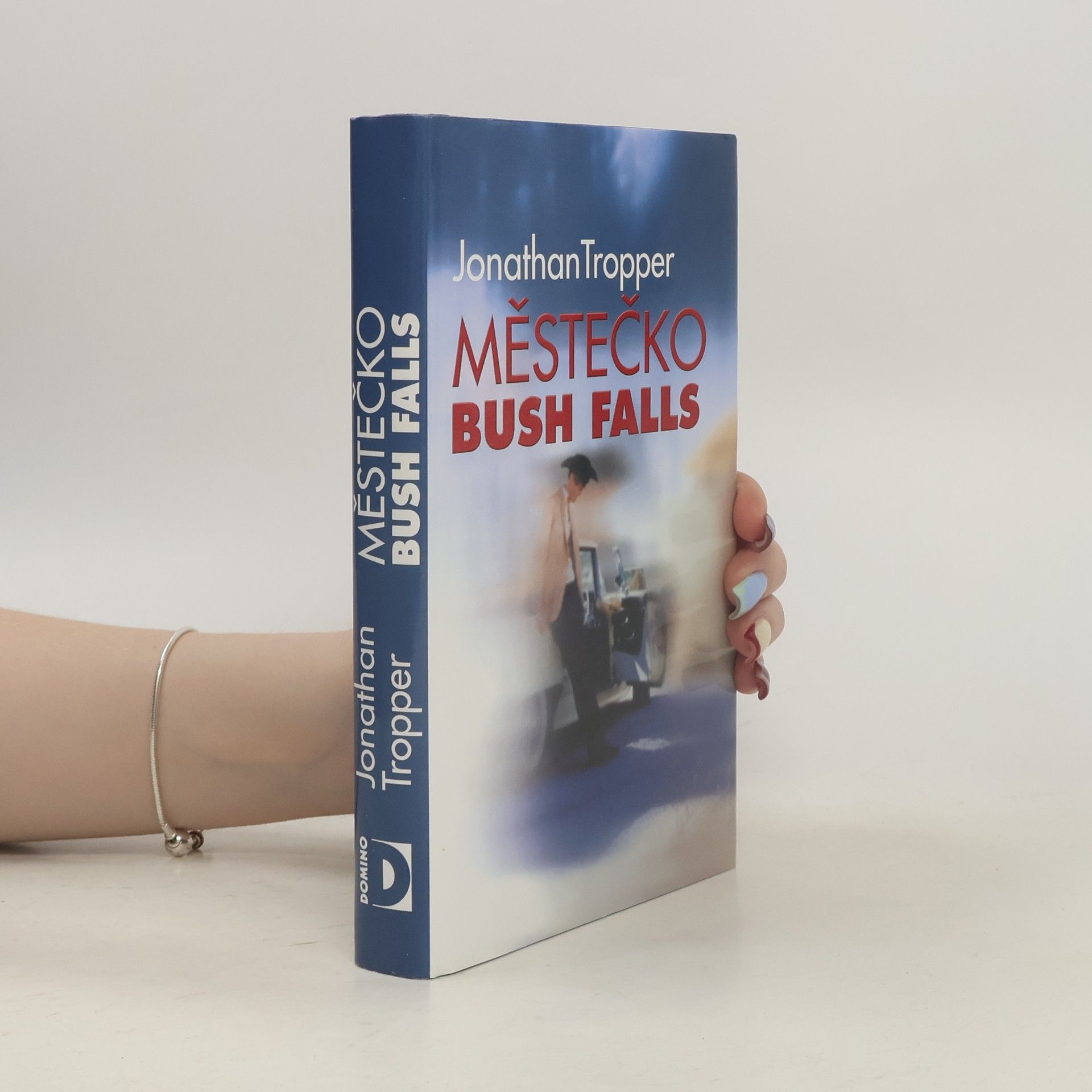 Jonathan Tropper Městečko Bush Falls