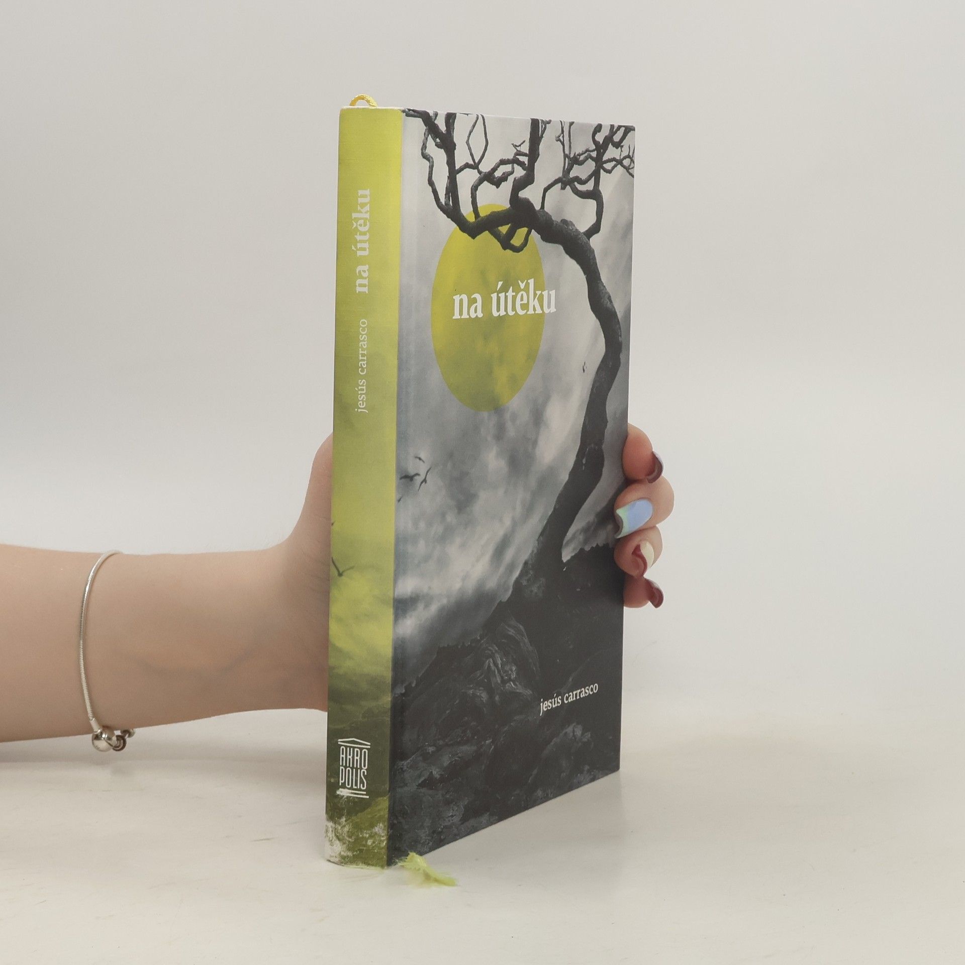 Jesús Carrasco Na útěku