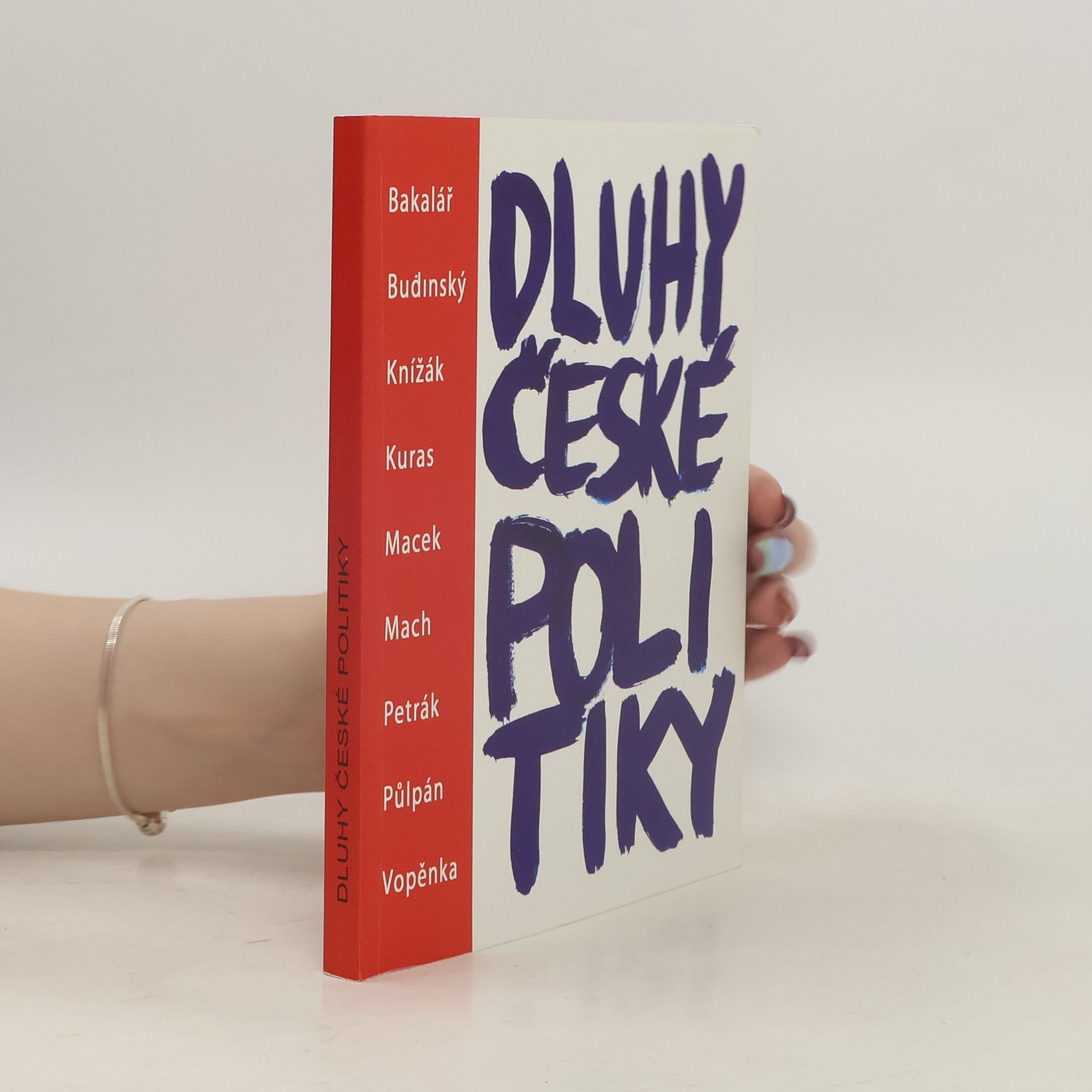 Auteurscollectief Dluhy české politiky