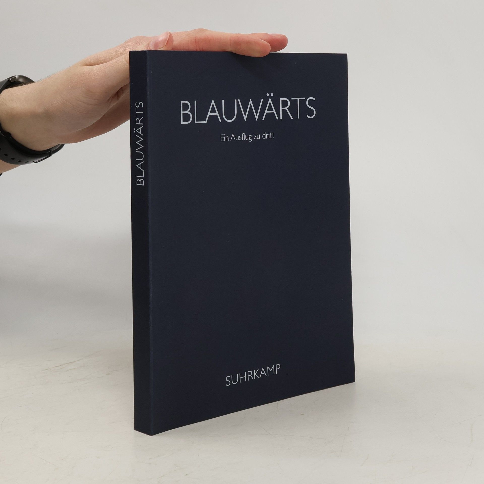 Hans Magnus Enzensberger Blauwärts