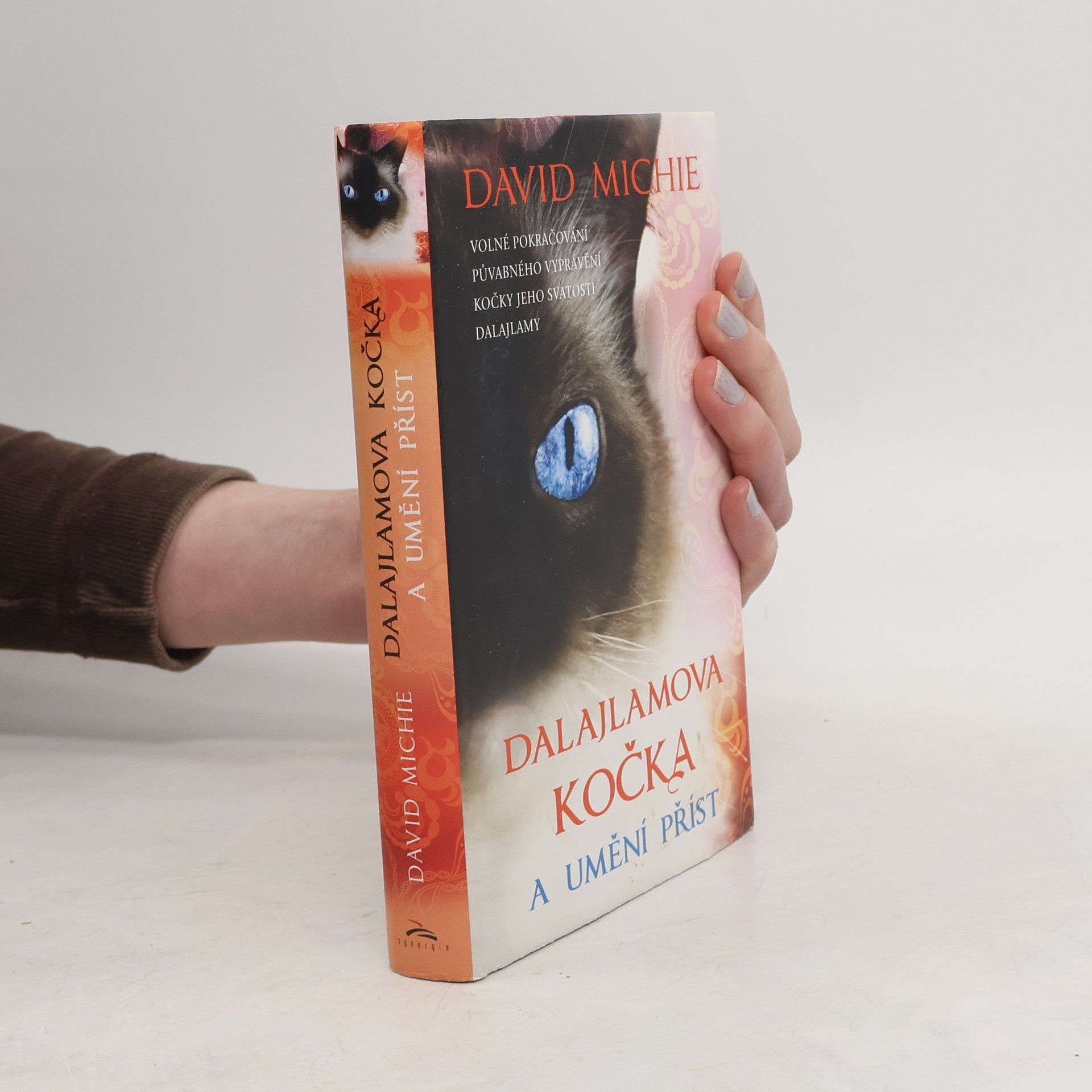 David Michie Dalajlamova kočka a umění příst