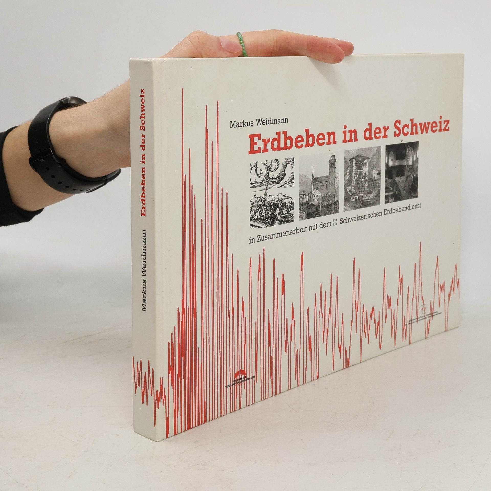 Markus Weidmann Erdbeben in der Schweiz