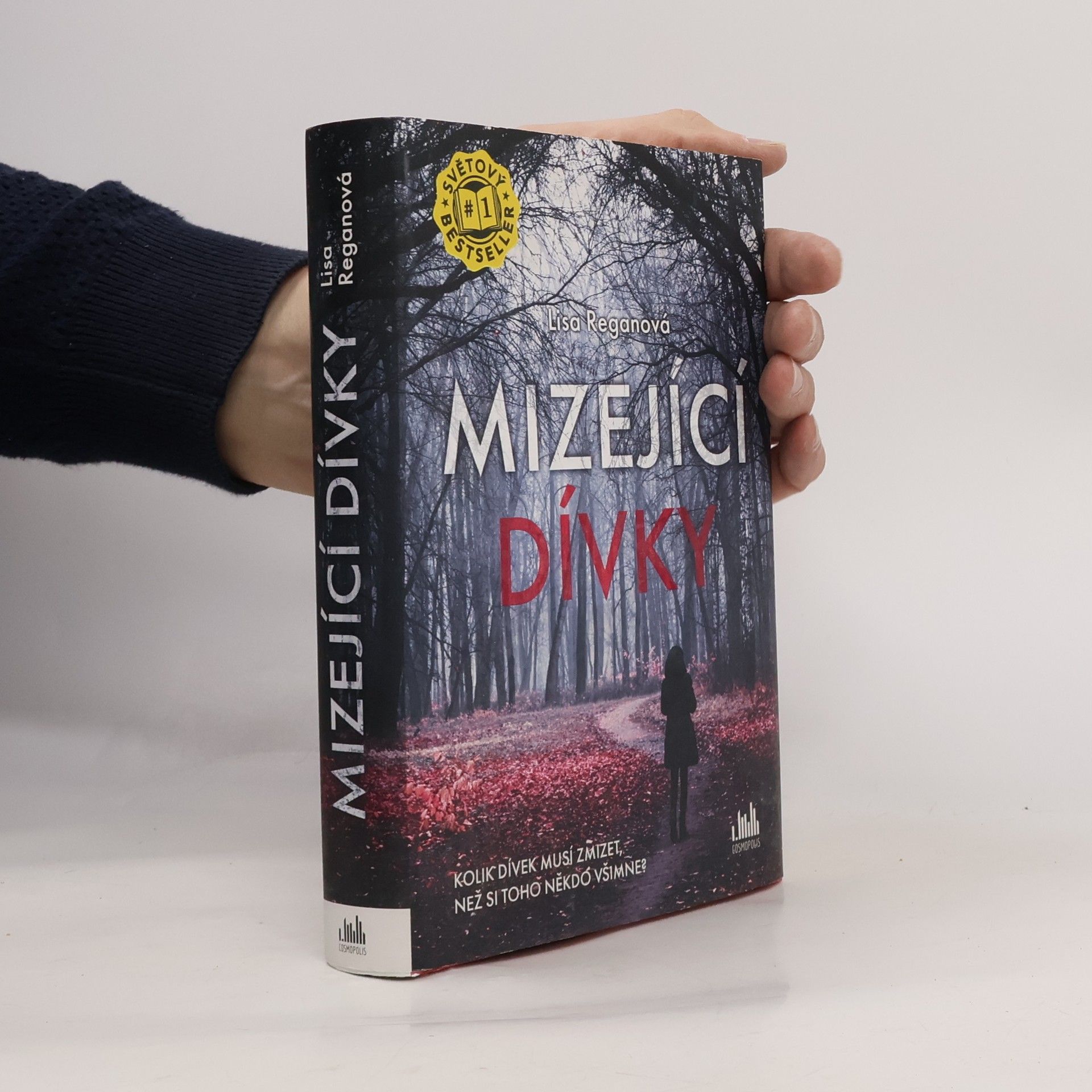 Lisa Regan Mizející dívky