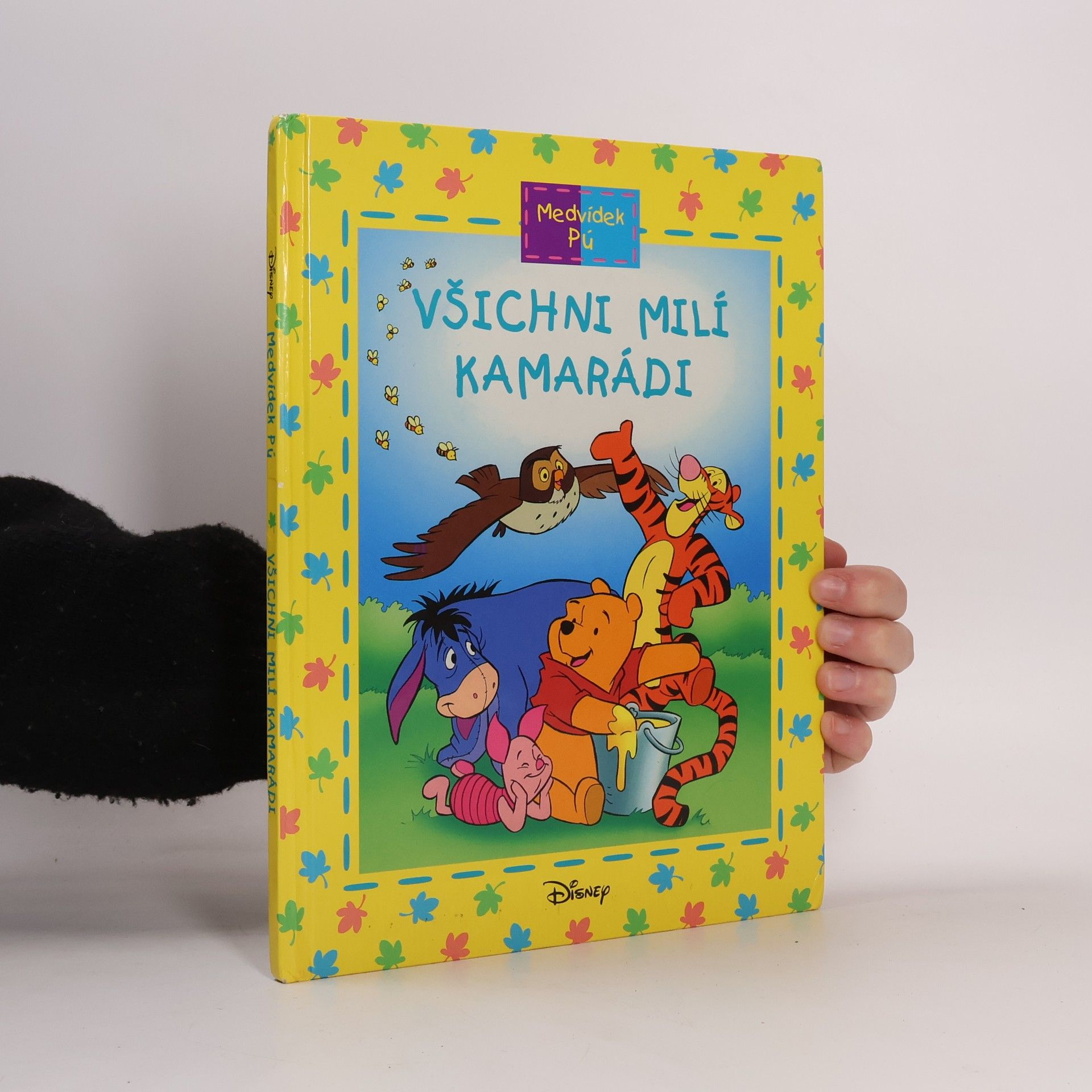 Medvídek Pú: Všichni milí kamarádi