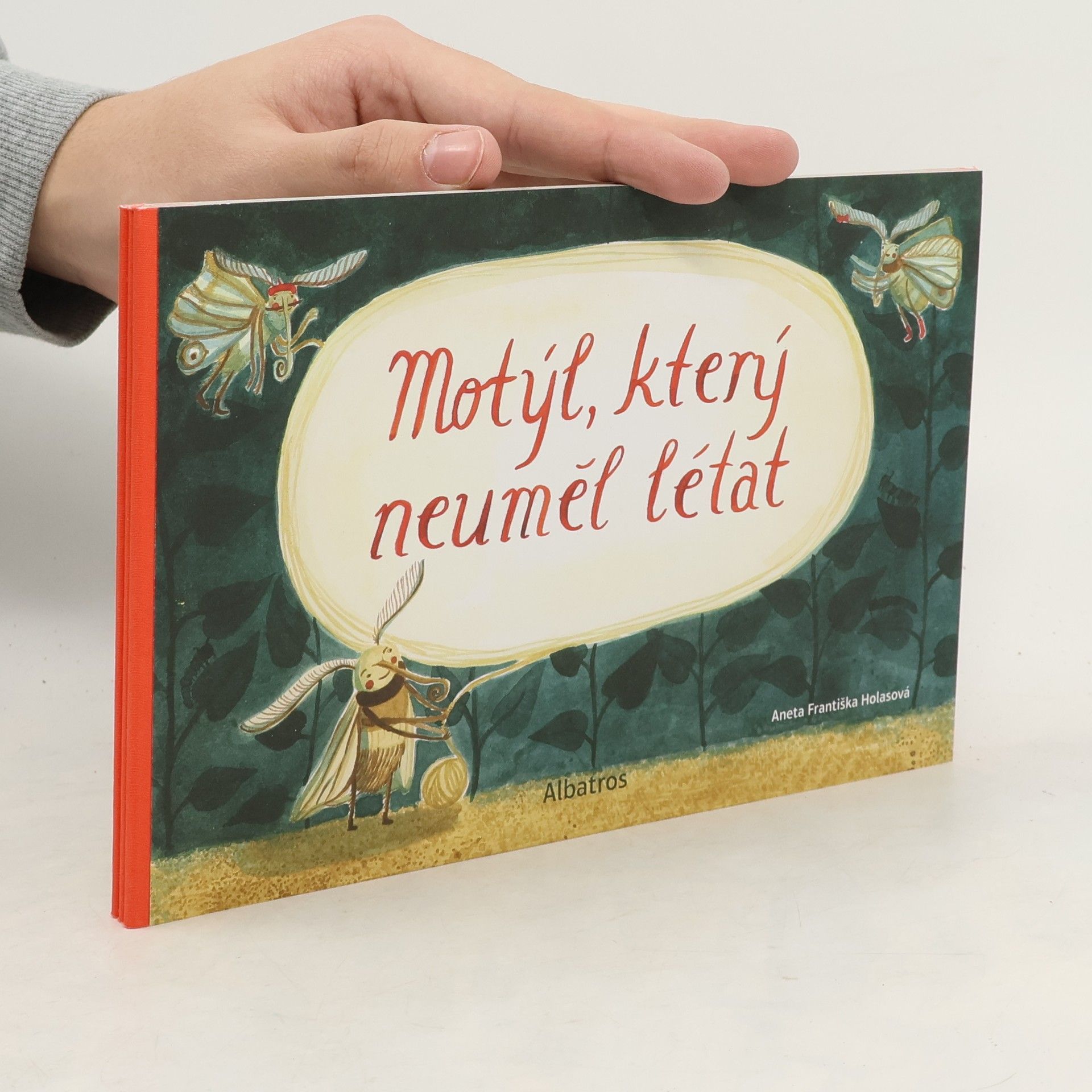 Aneta Františka Holasová Motýl, který neuměl létat