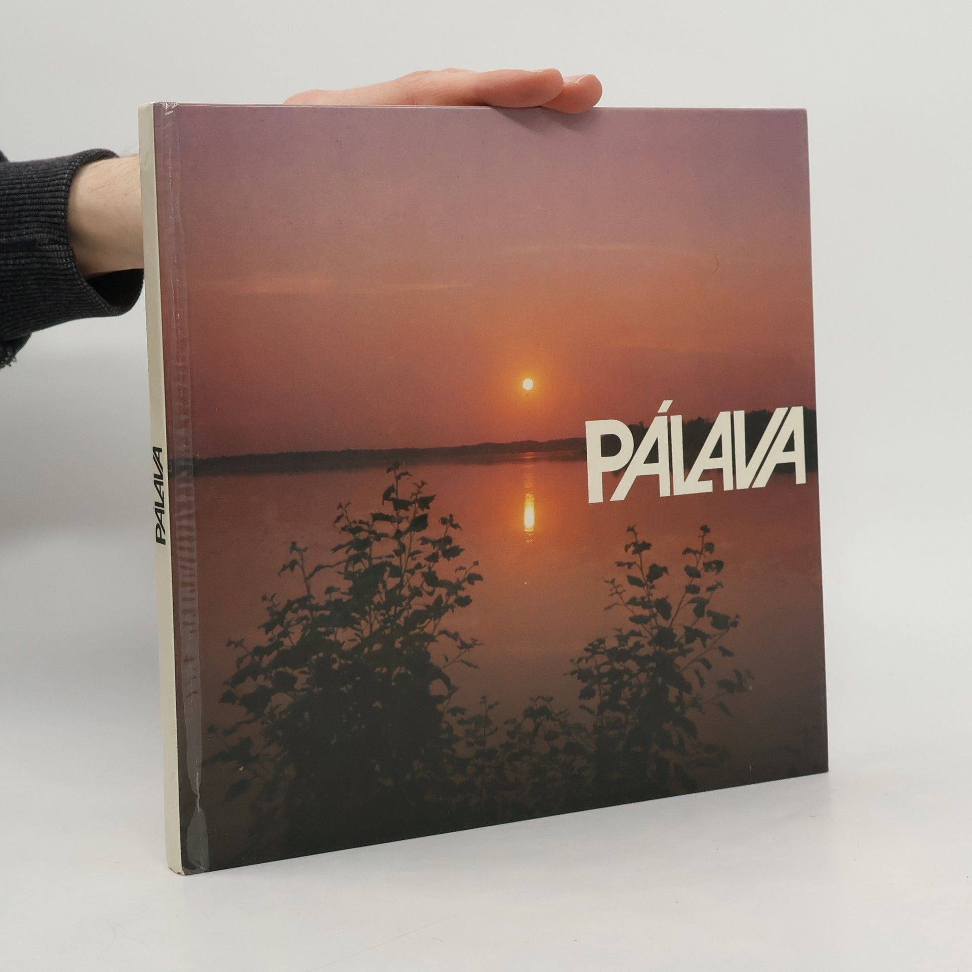 Jindřich Grepl Pálava