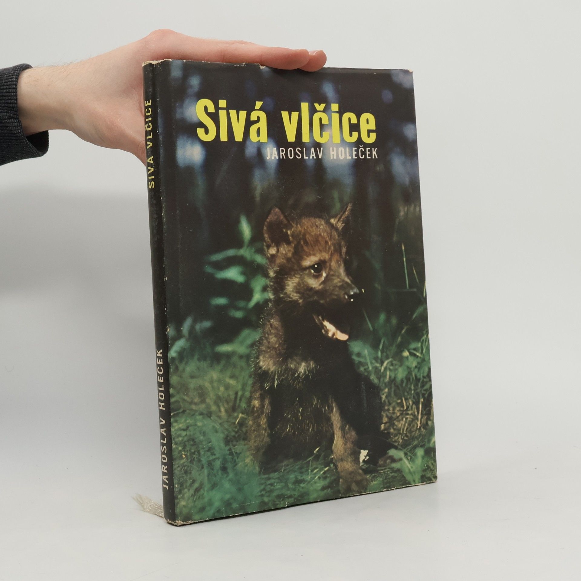 Jaroslav Holeček Sivá vlčica