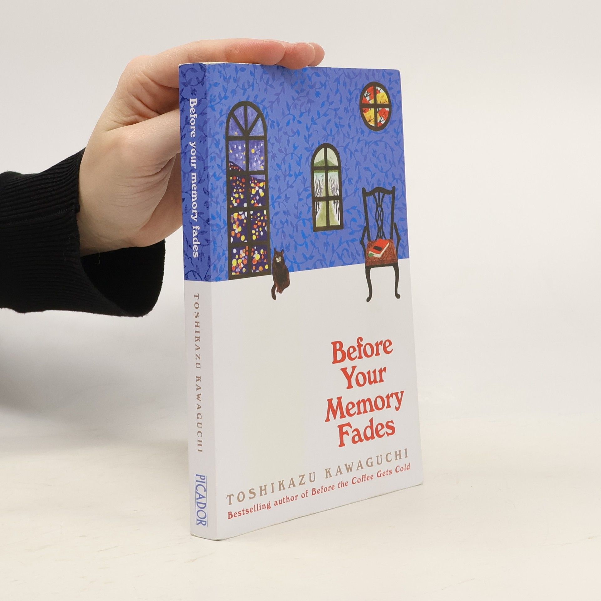 Tošikazu Kawaguči Before your memory fades