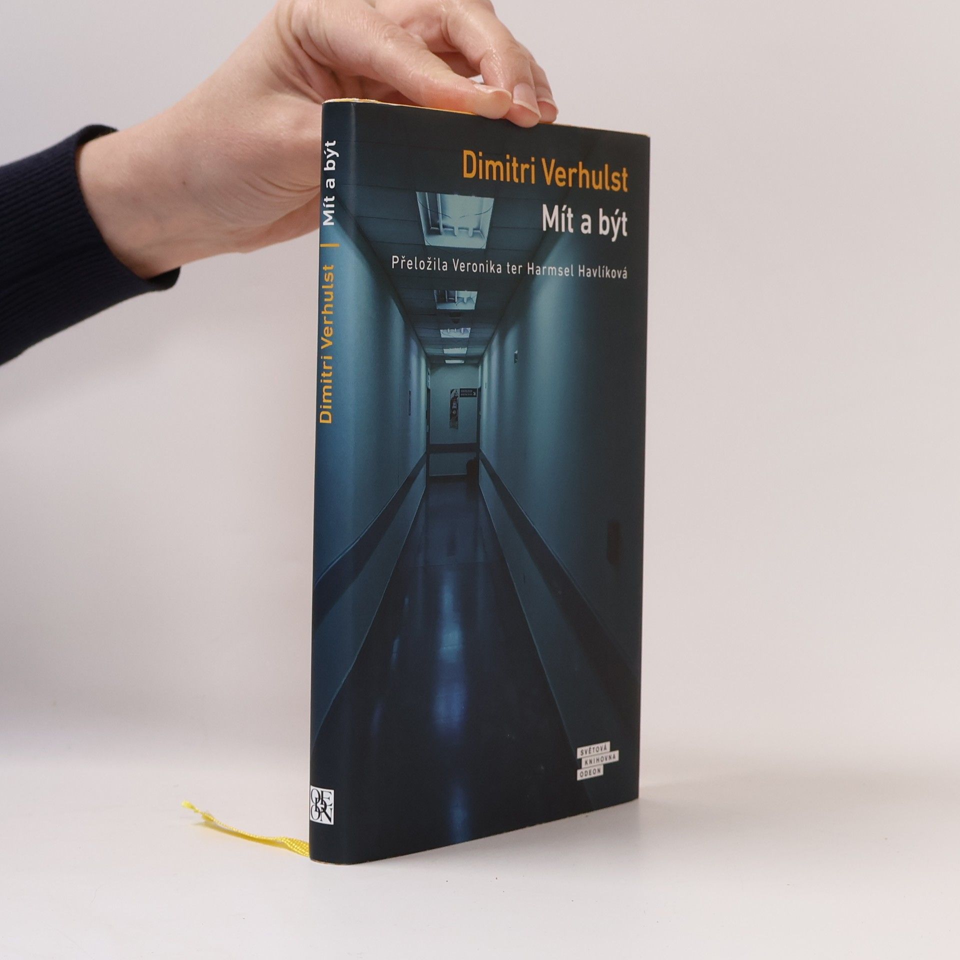 Dimitri Verhulst Mít a být