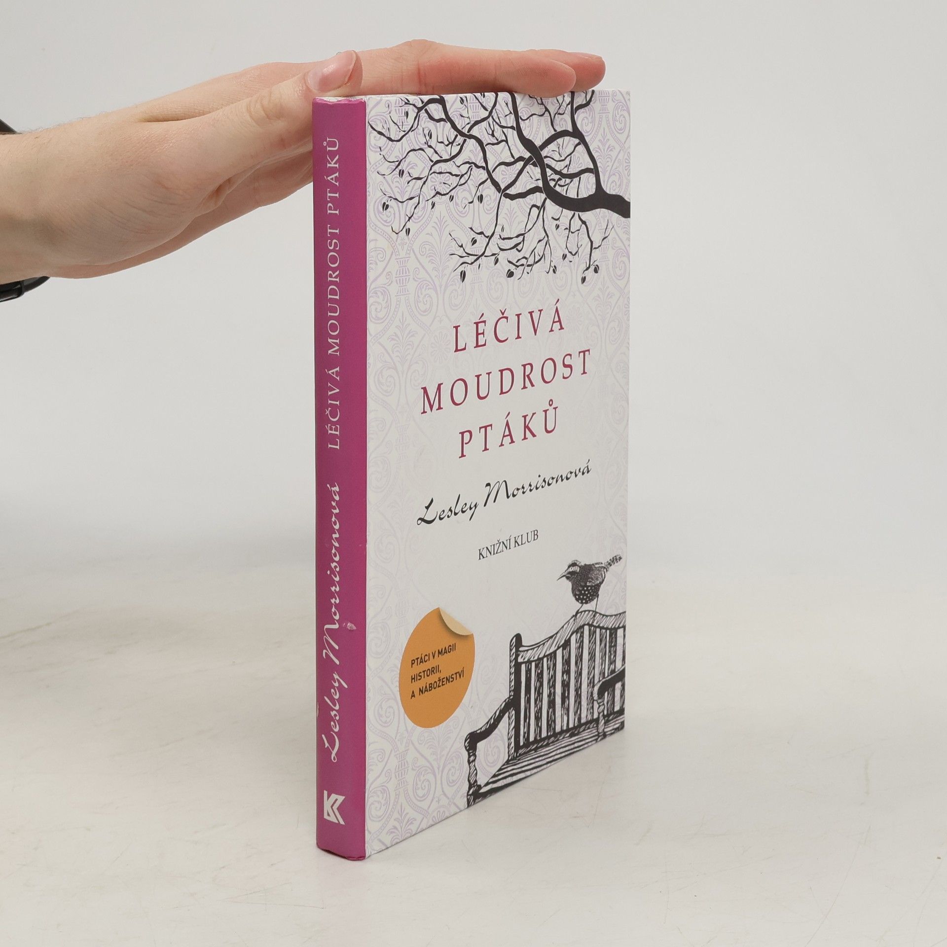 Lesley Morrison Léčivá moudrost ptáků : ptáci v magii, historii a náboženství