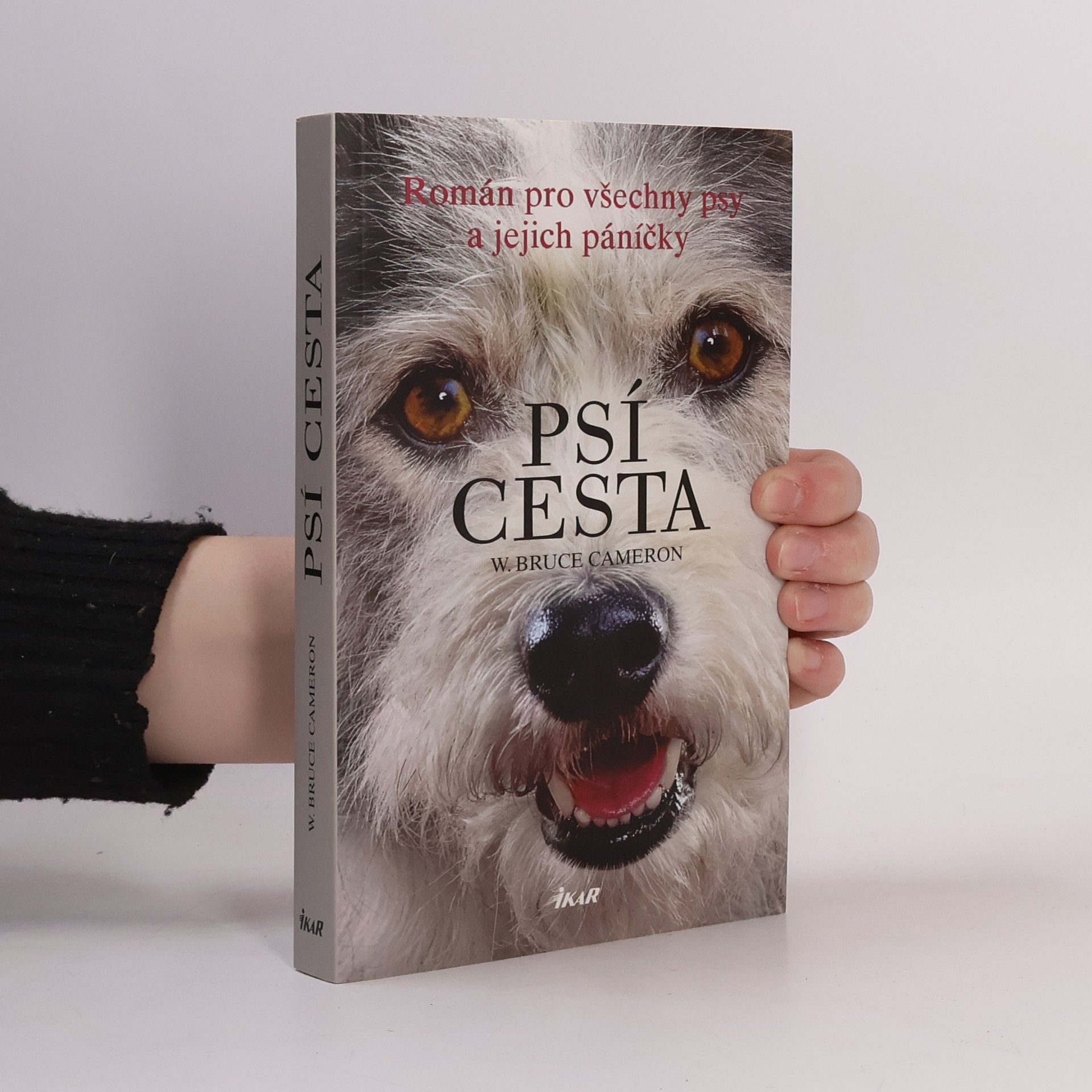 W. Bruce Cameron Psí cesta